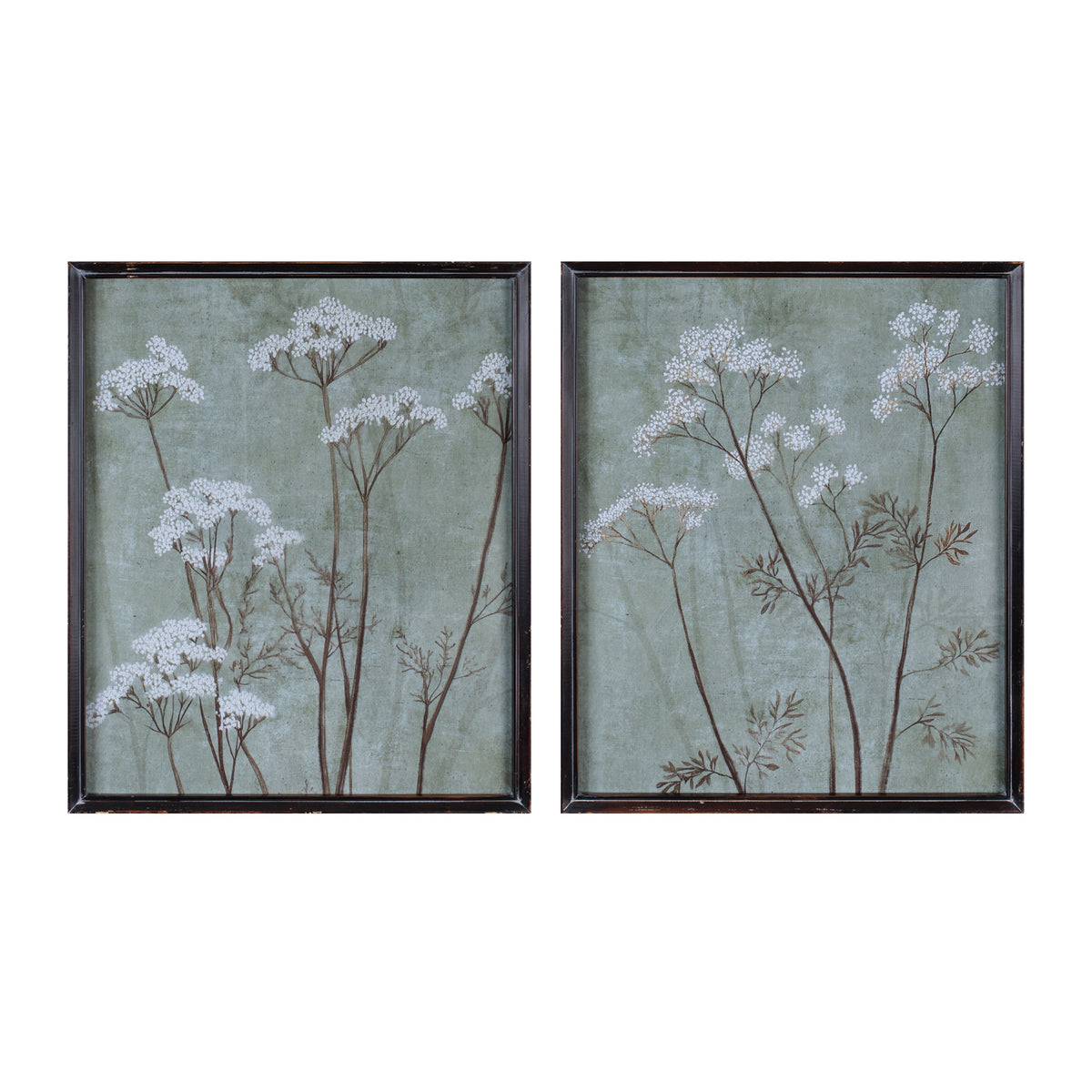 Queen Anne's Lace Frame (S/2)