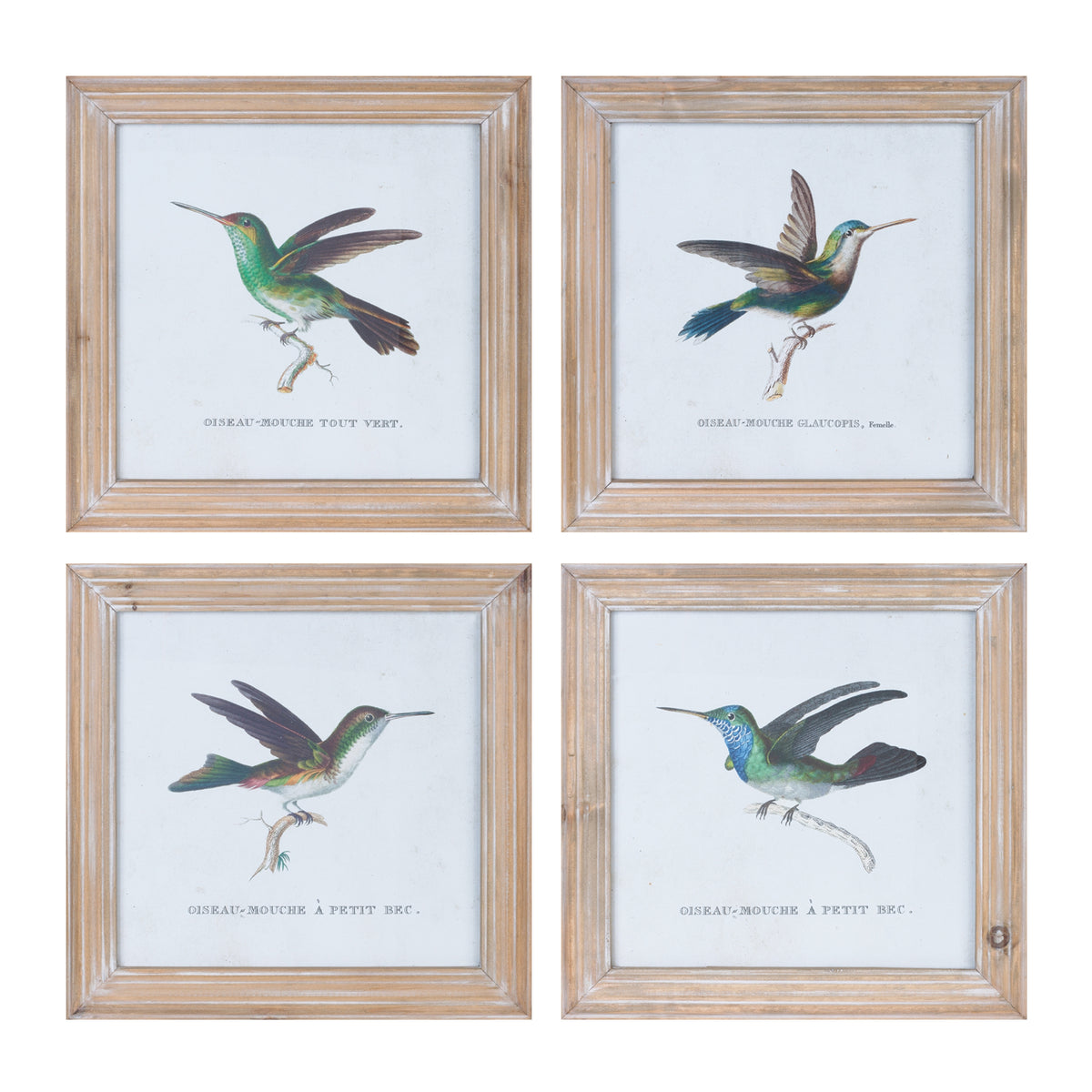 Hummingbird Frame (S/4)