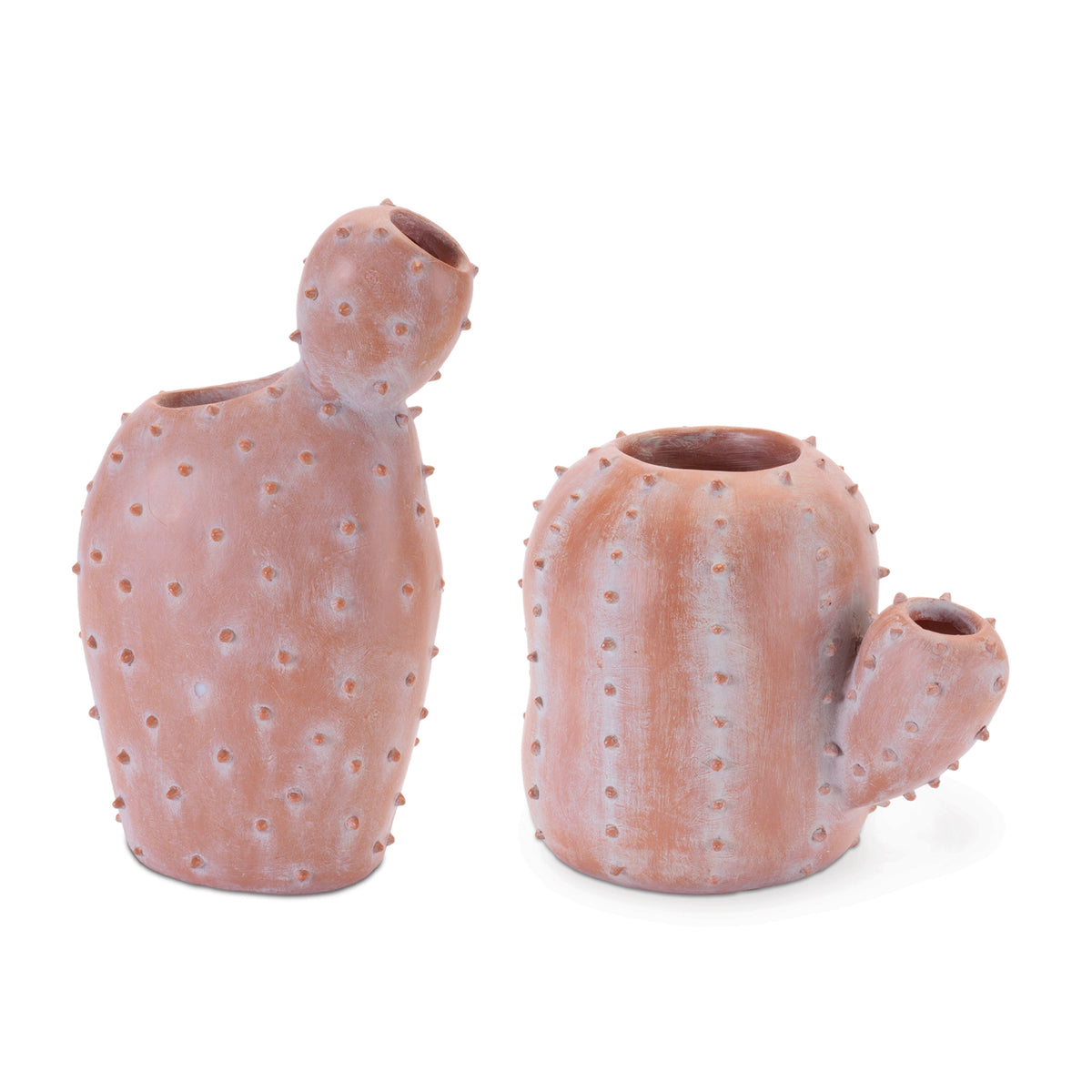 Cactus Vase (S/2)