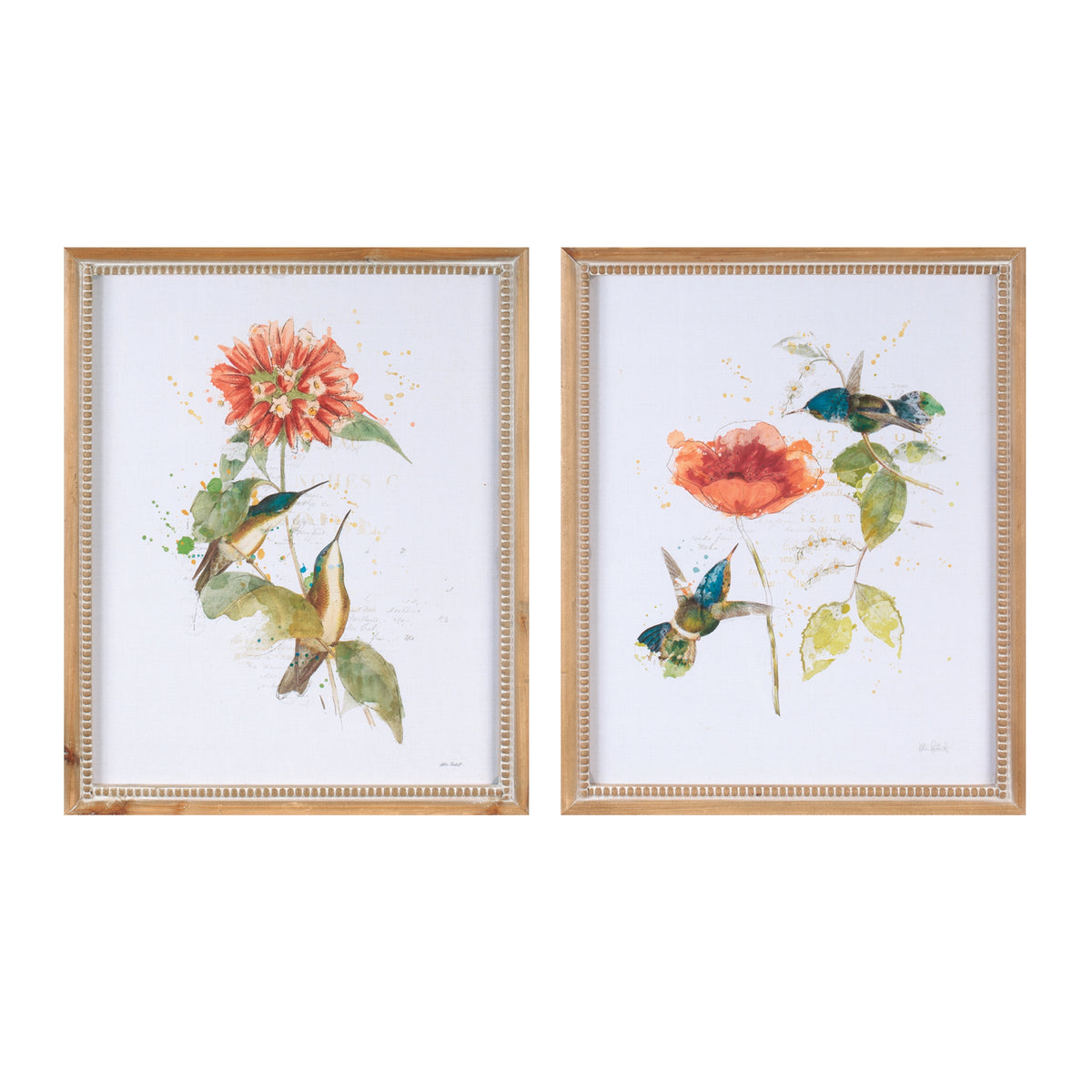 Hummingbird Print (S/2)