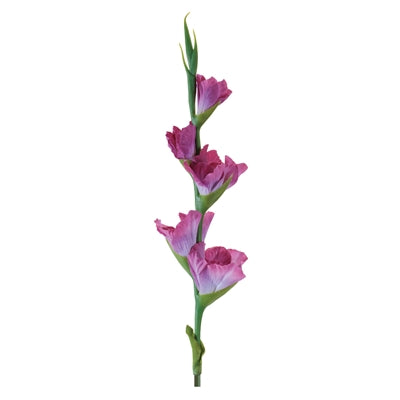 Gladiolus Stem 33.5”H Plastic (Real Touch)