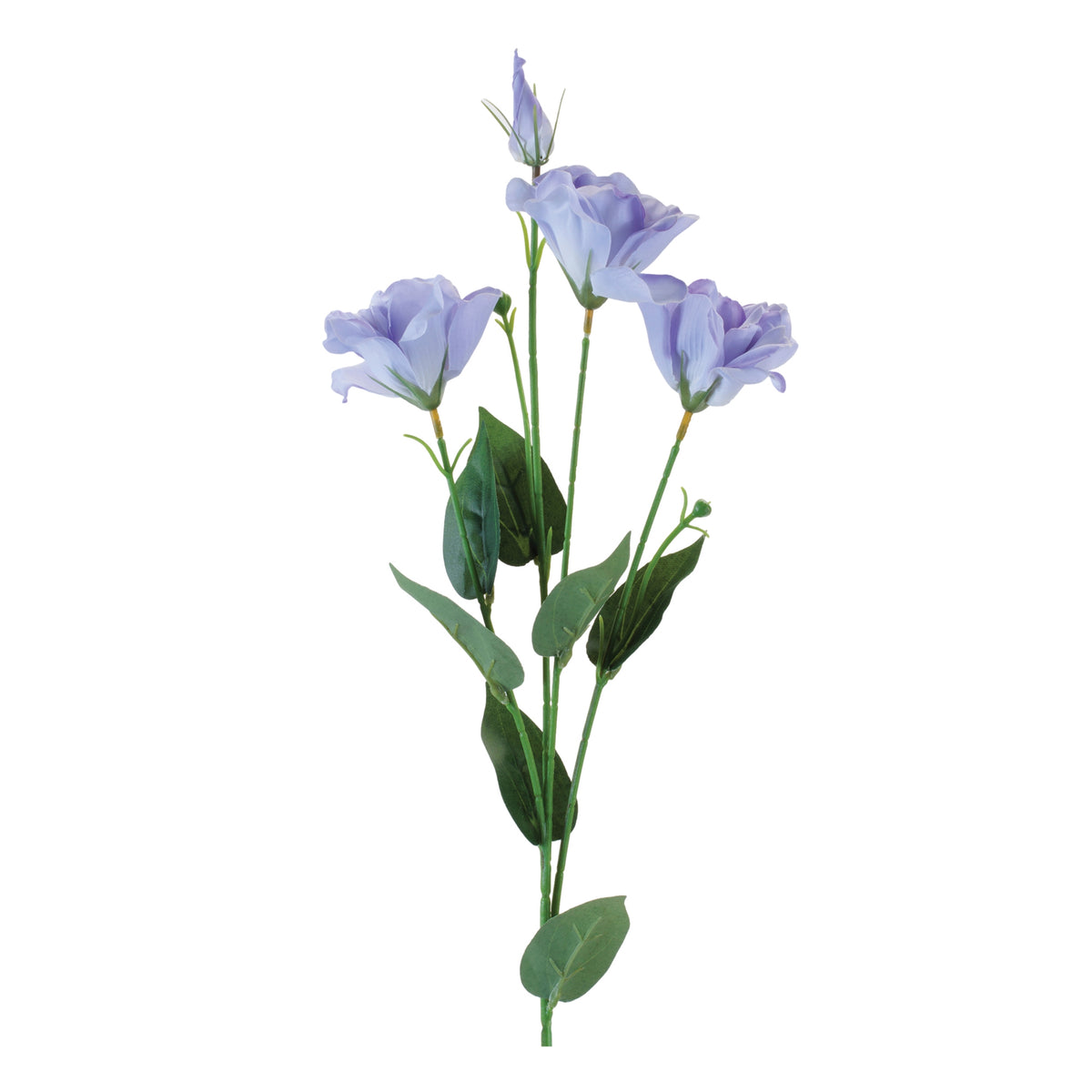 Lisianthus Spray