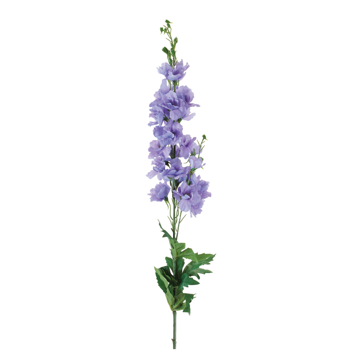 Delphinium Stem