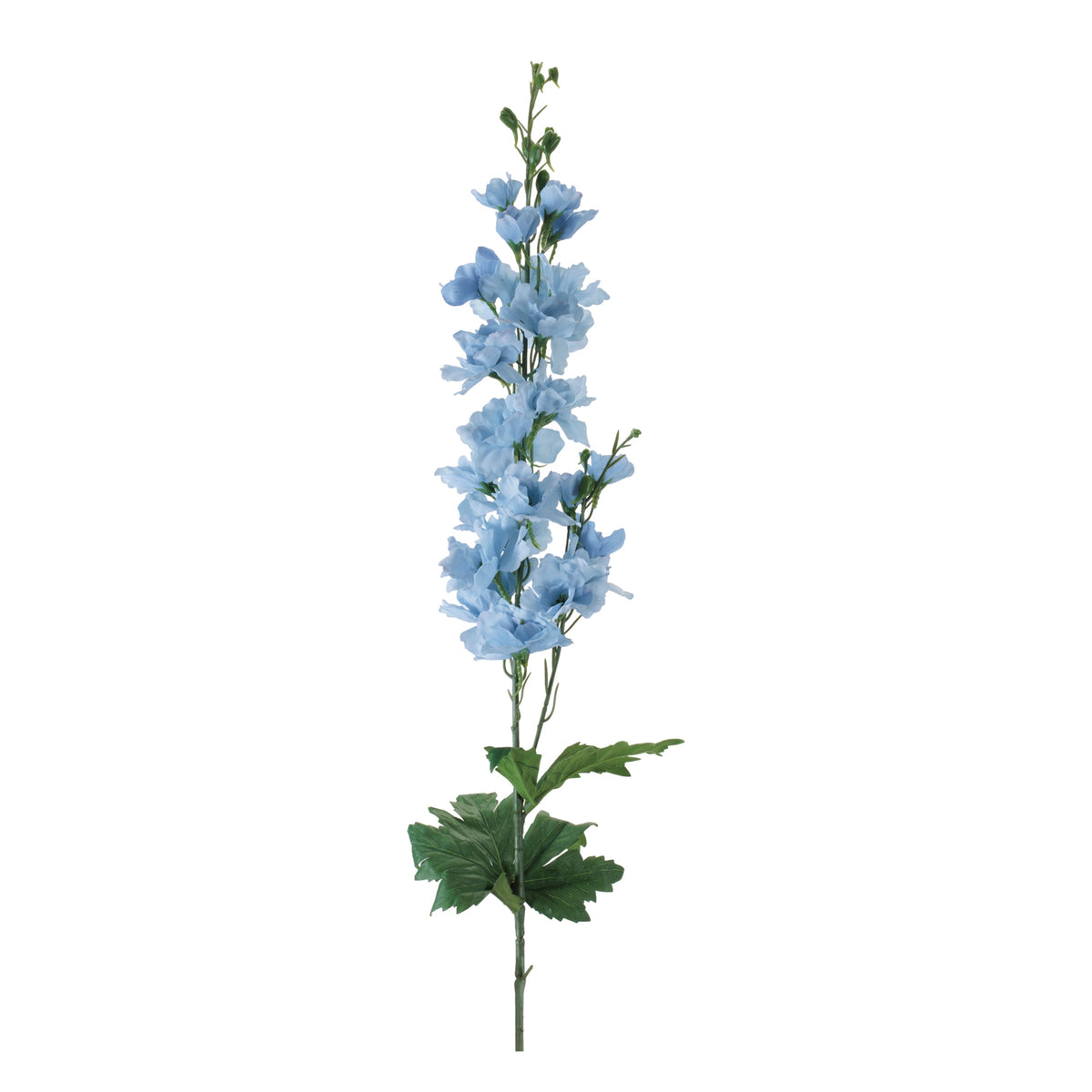 Delphinium Stem