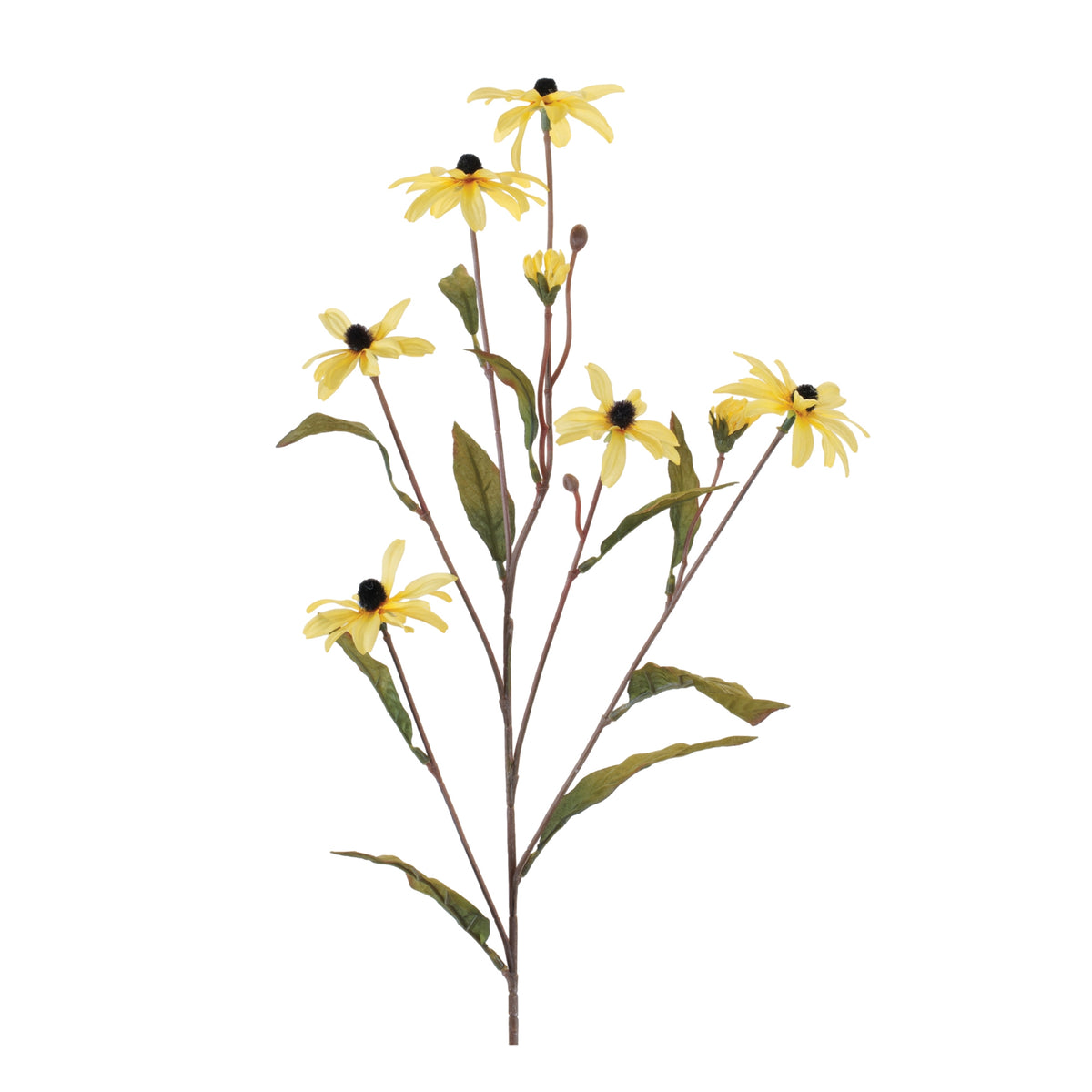 Cone Flower Spray