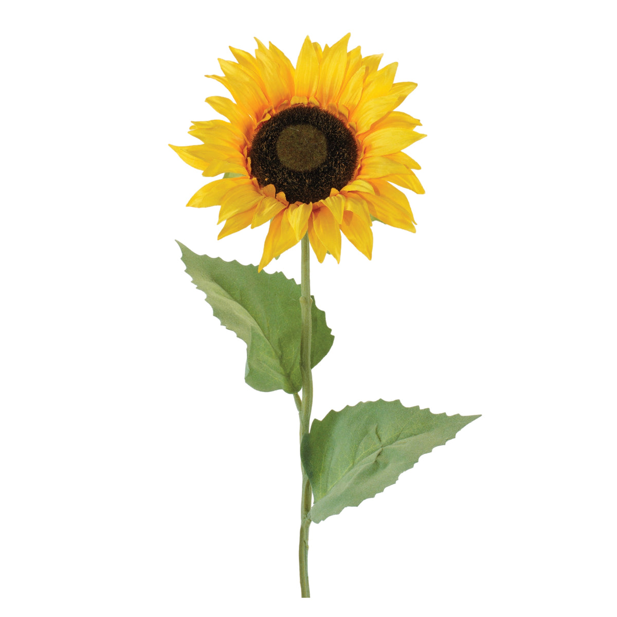 Sunflower Stem