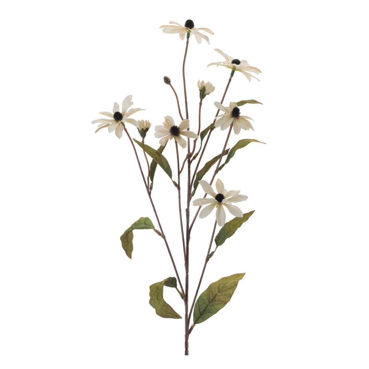Cone Flower Spray