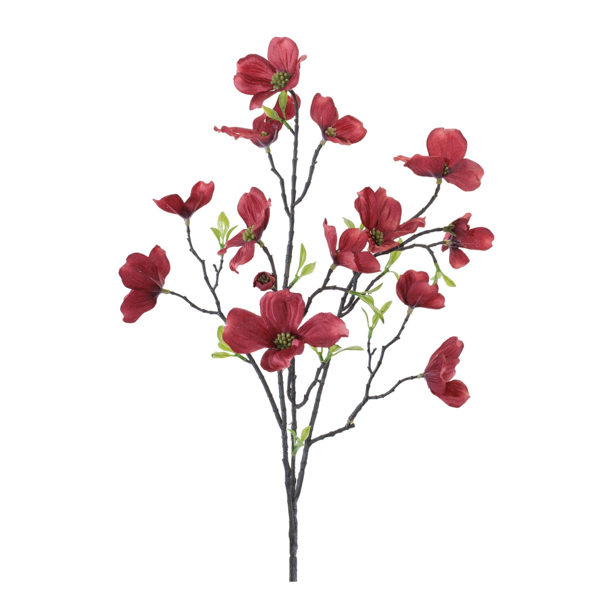 Dogwood Spray