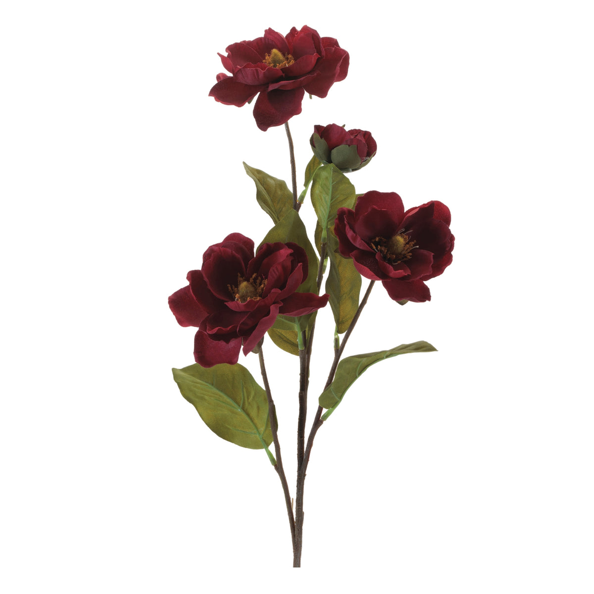 Wild Rose Spray