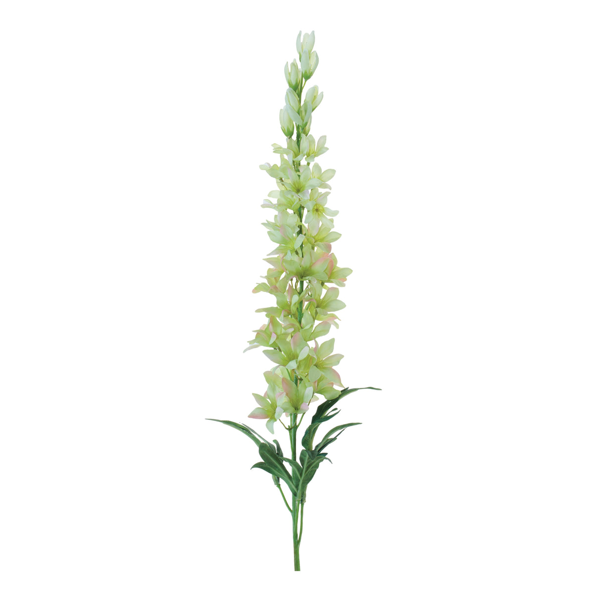 Delphinium Stem