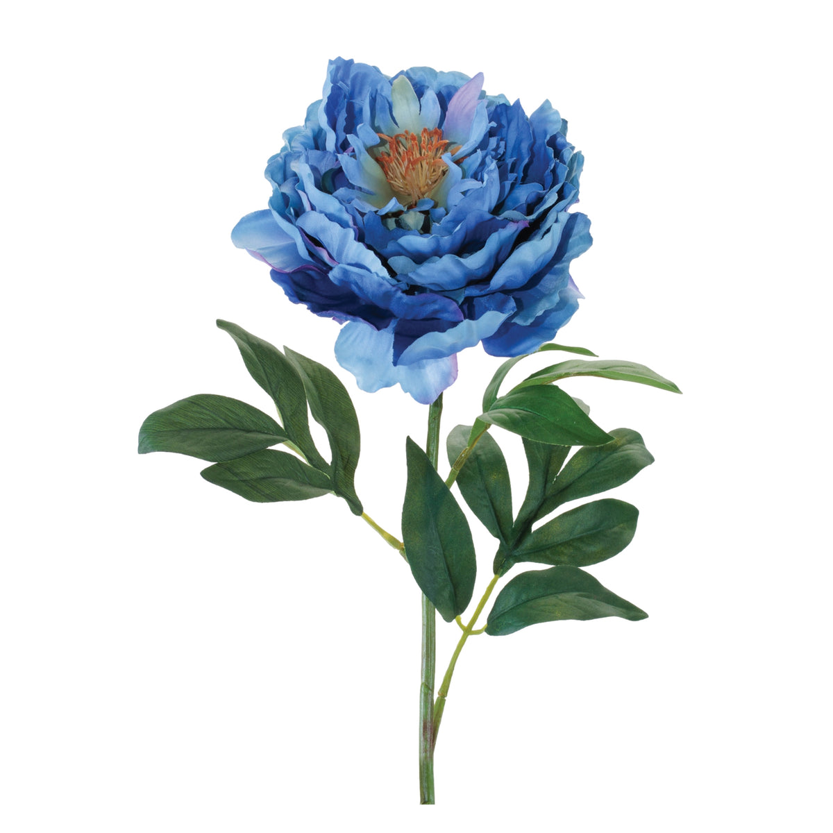 Peony Stem