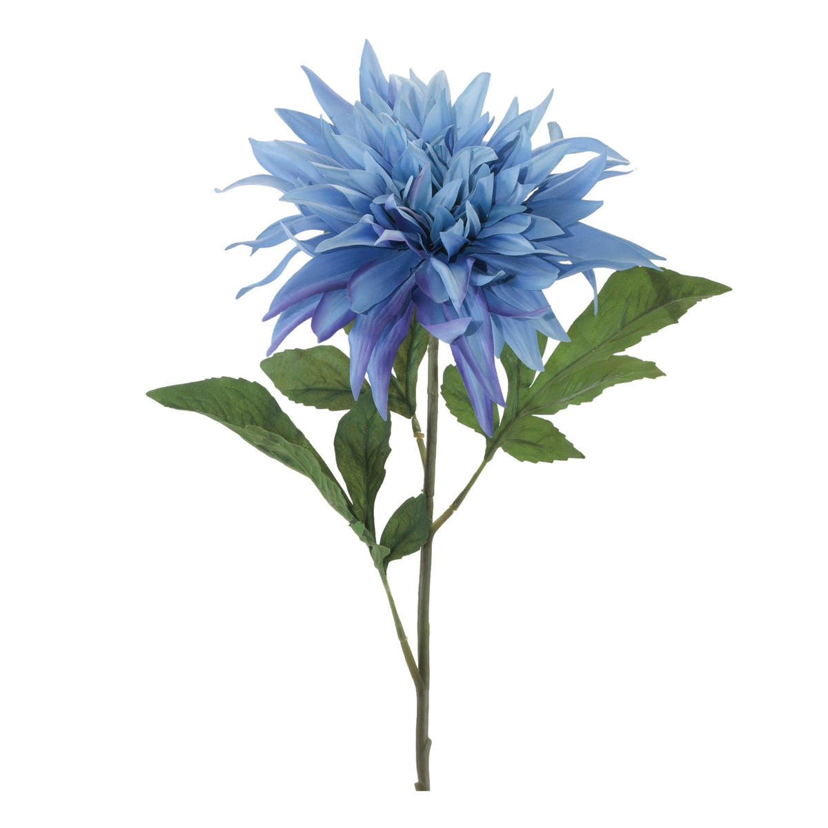 Mum Stem