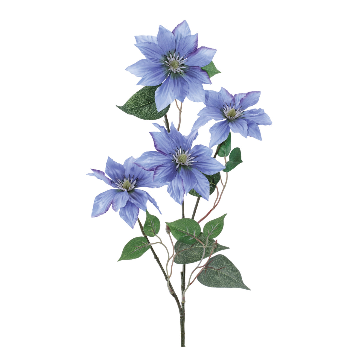Clematis Spray