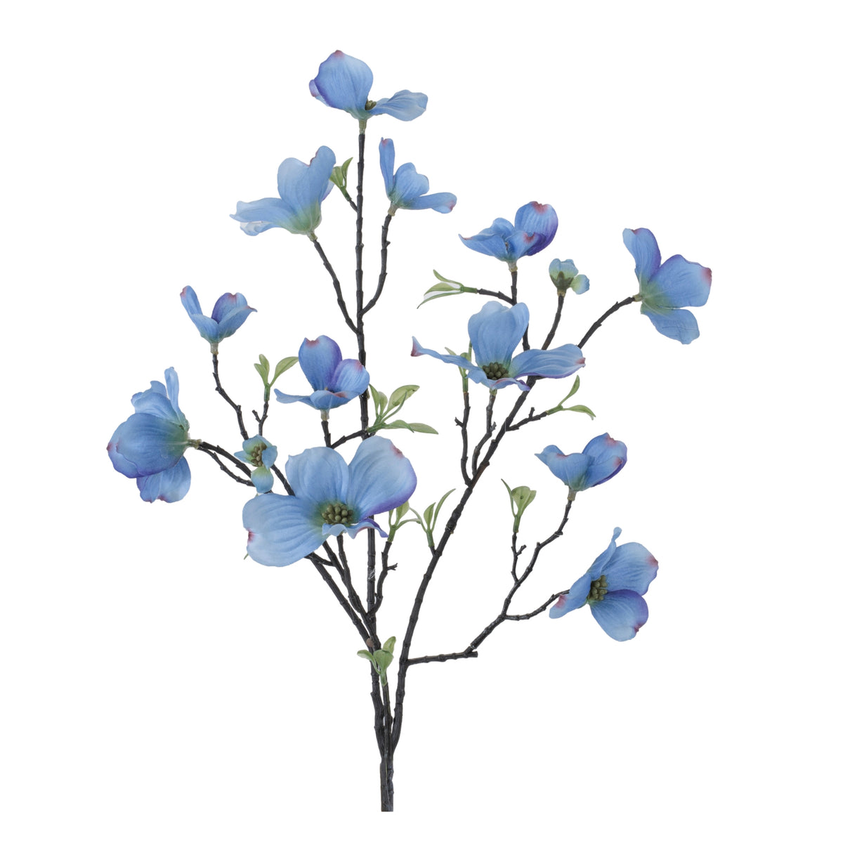 Dogwood Spray