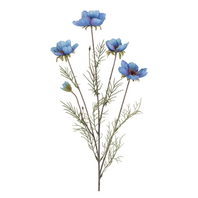 Cosmos Spray
