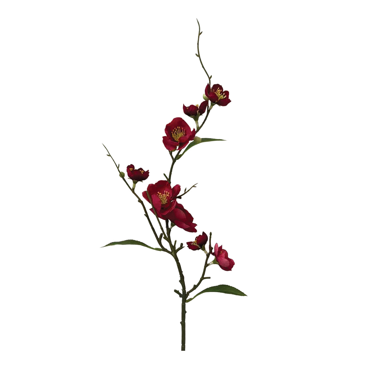 Floral Spray