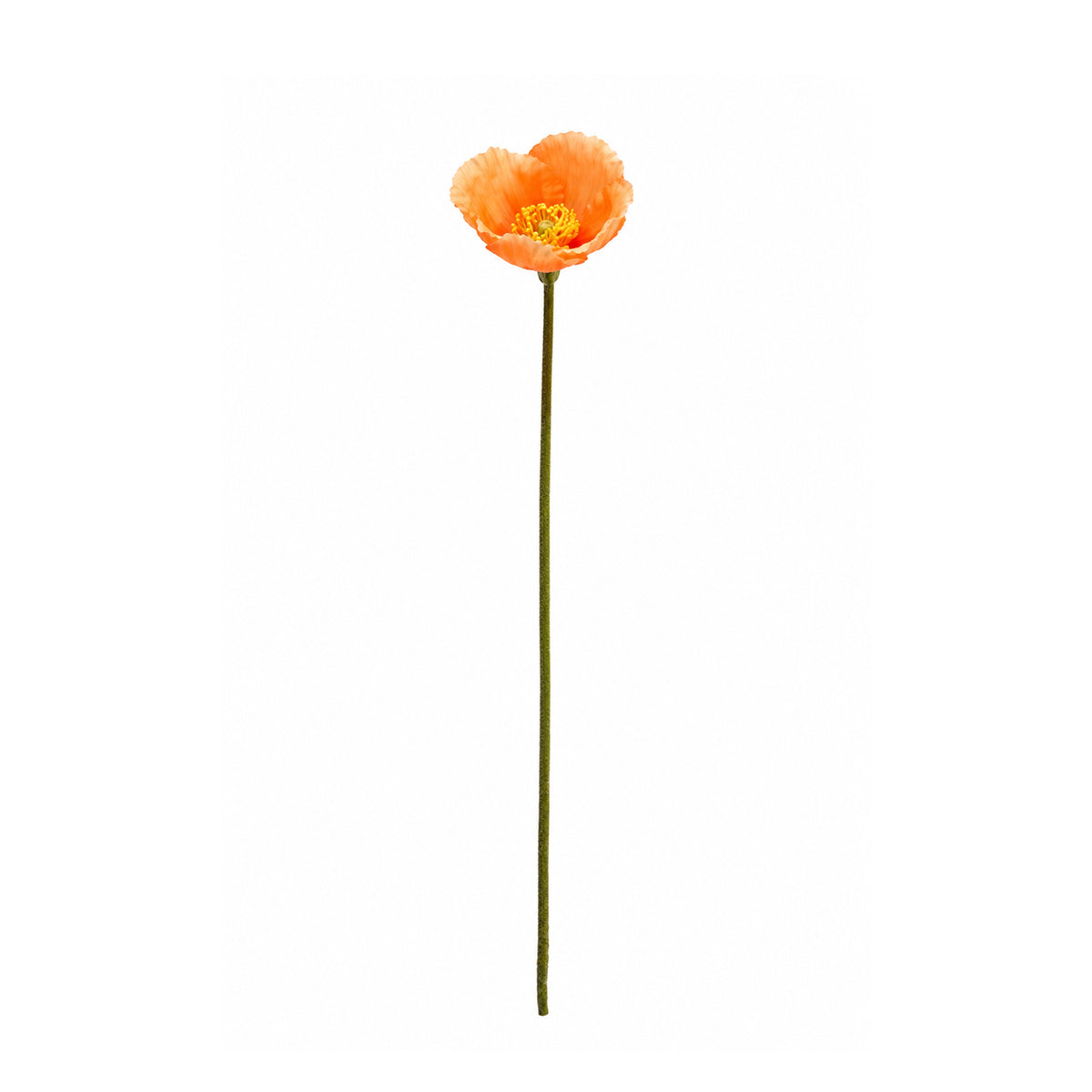 Poppy Stem
