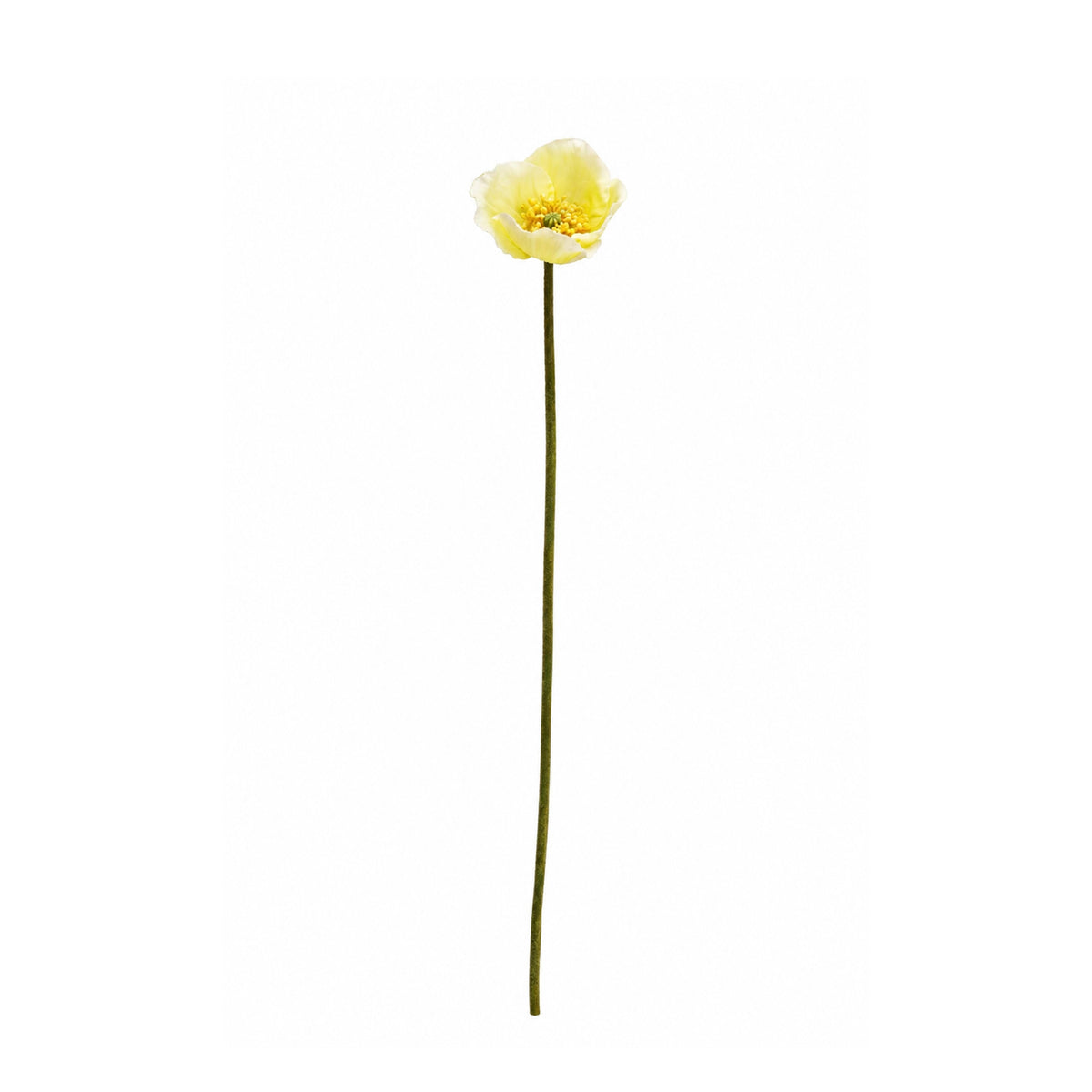 Poppy Stem