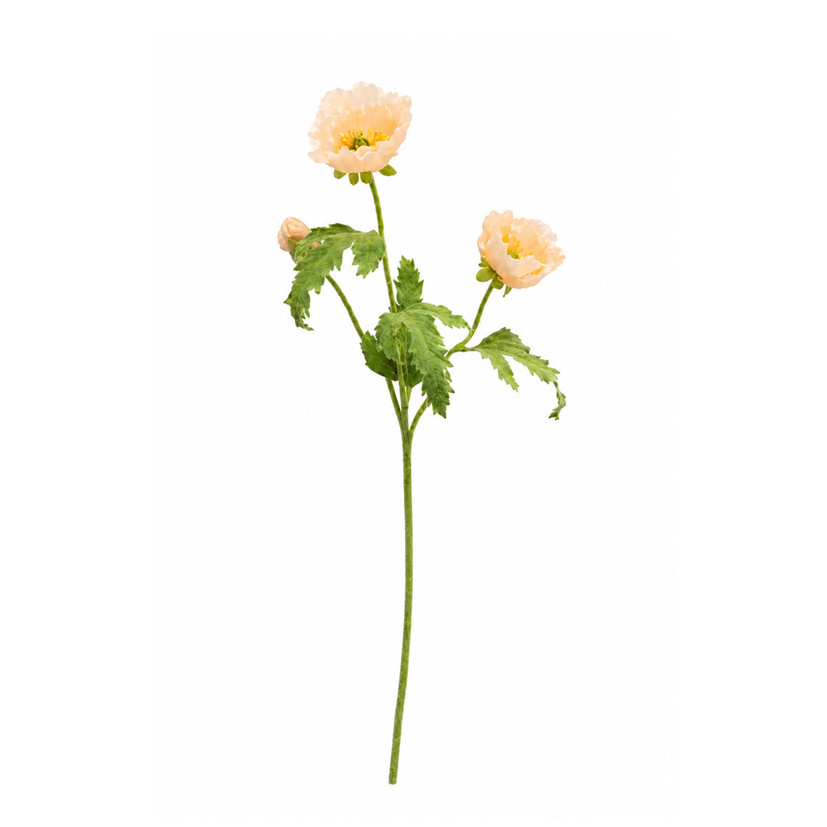 Triple Poppy Spray
