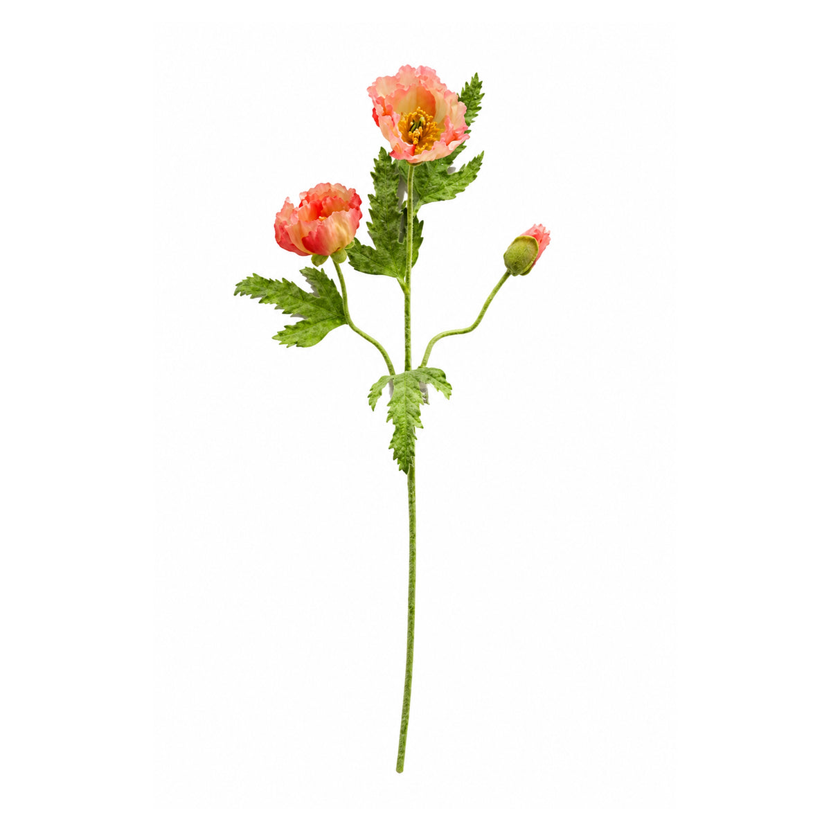 Triple Poppy Spray