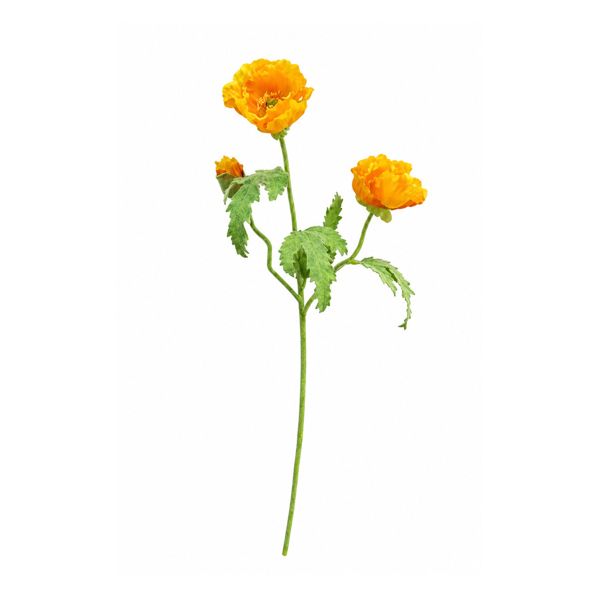 Triple Poppy Spray