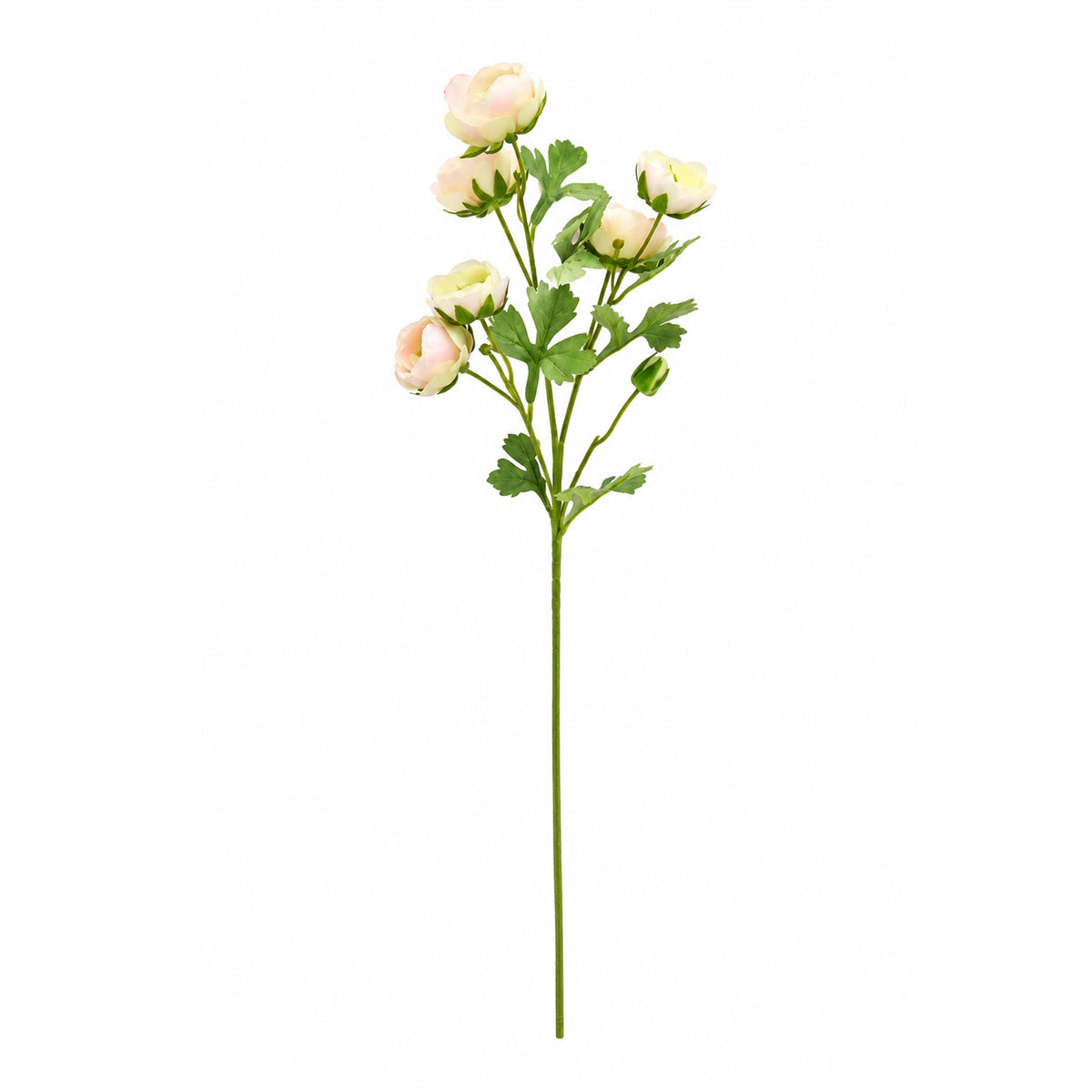 Ranunculus Spray
