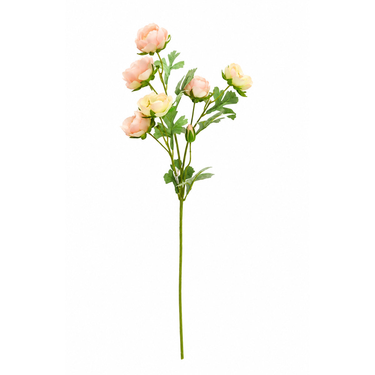 Ranunculus Spray