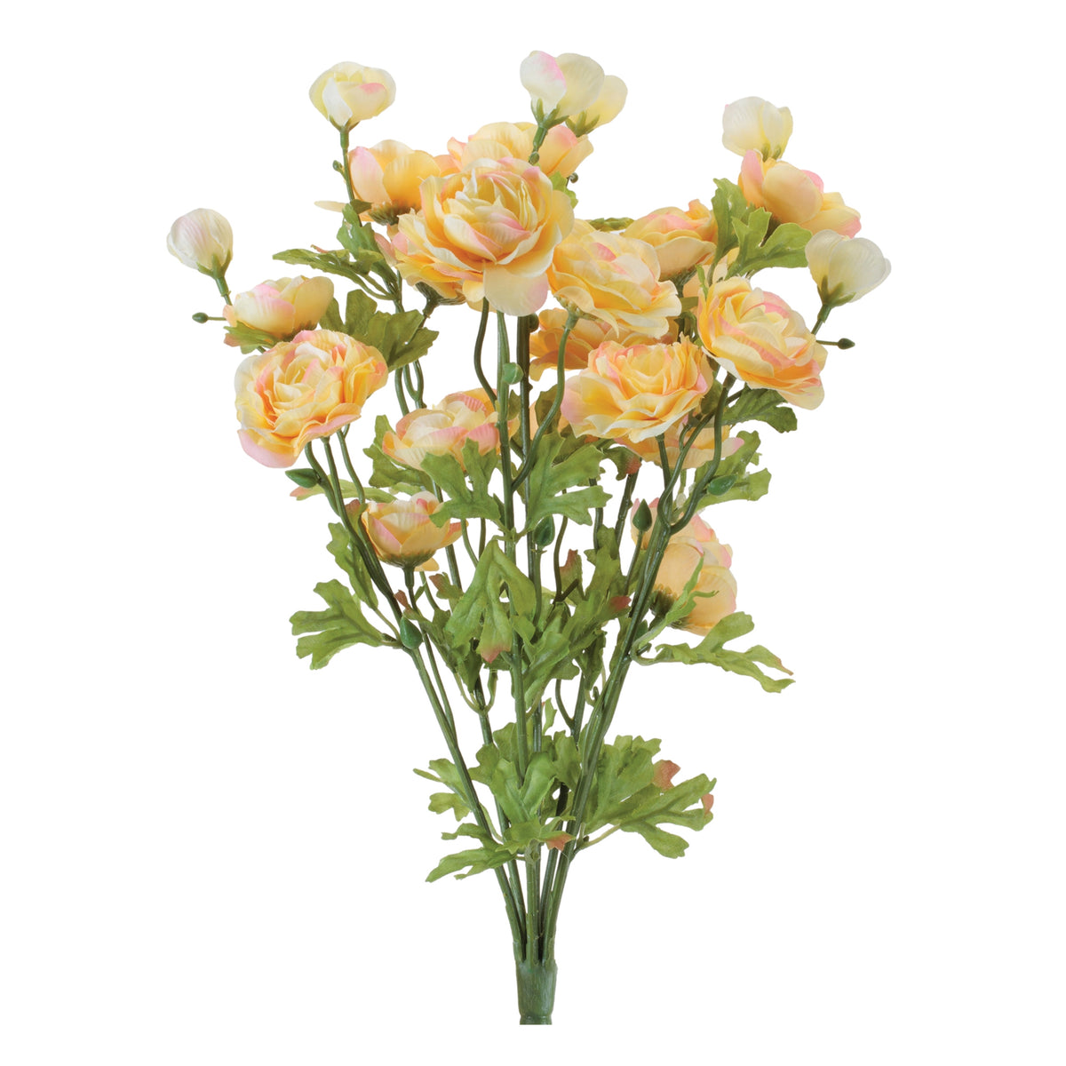 Ranunculus Bush