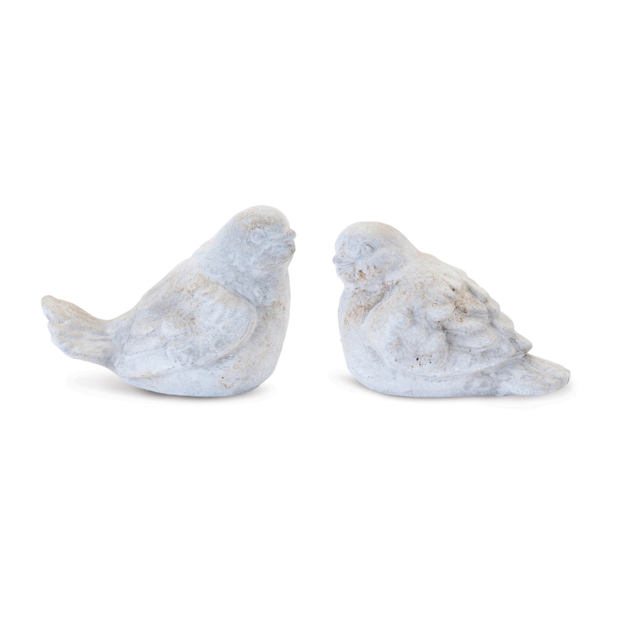 Bird (S/2)