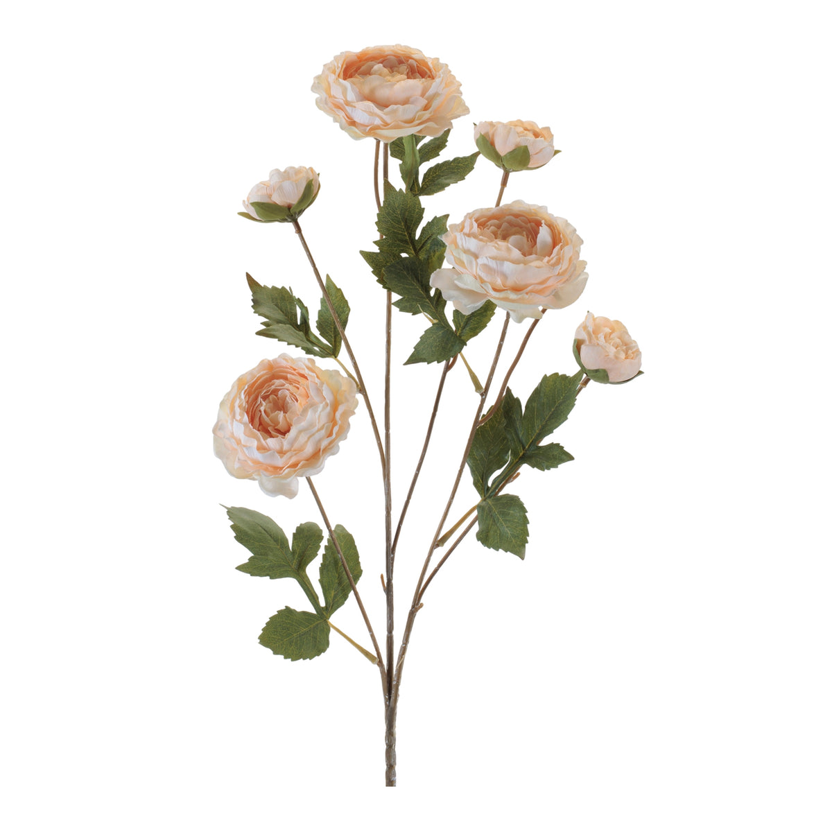 Rose Spray