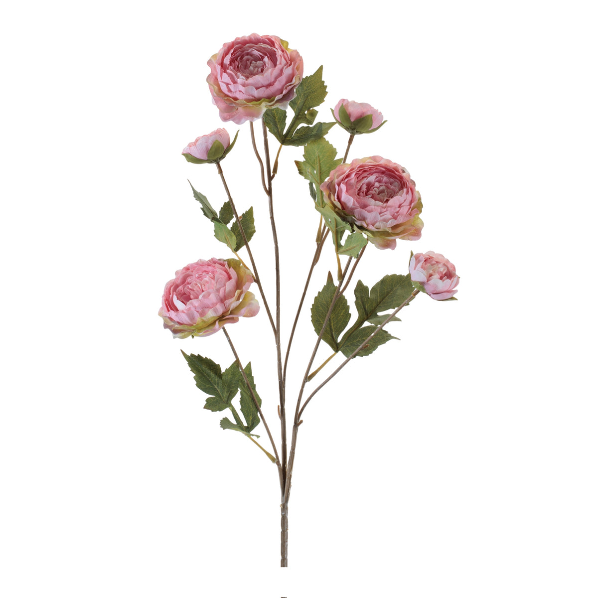 Rose Spray