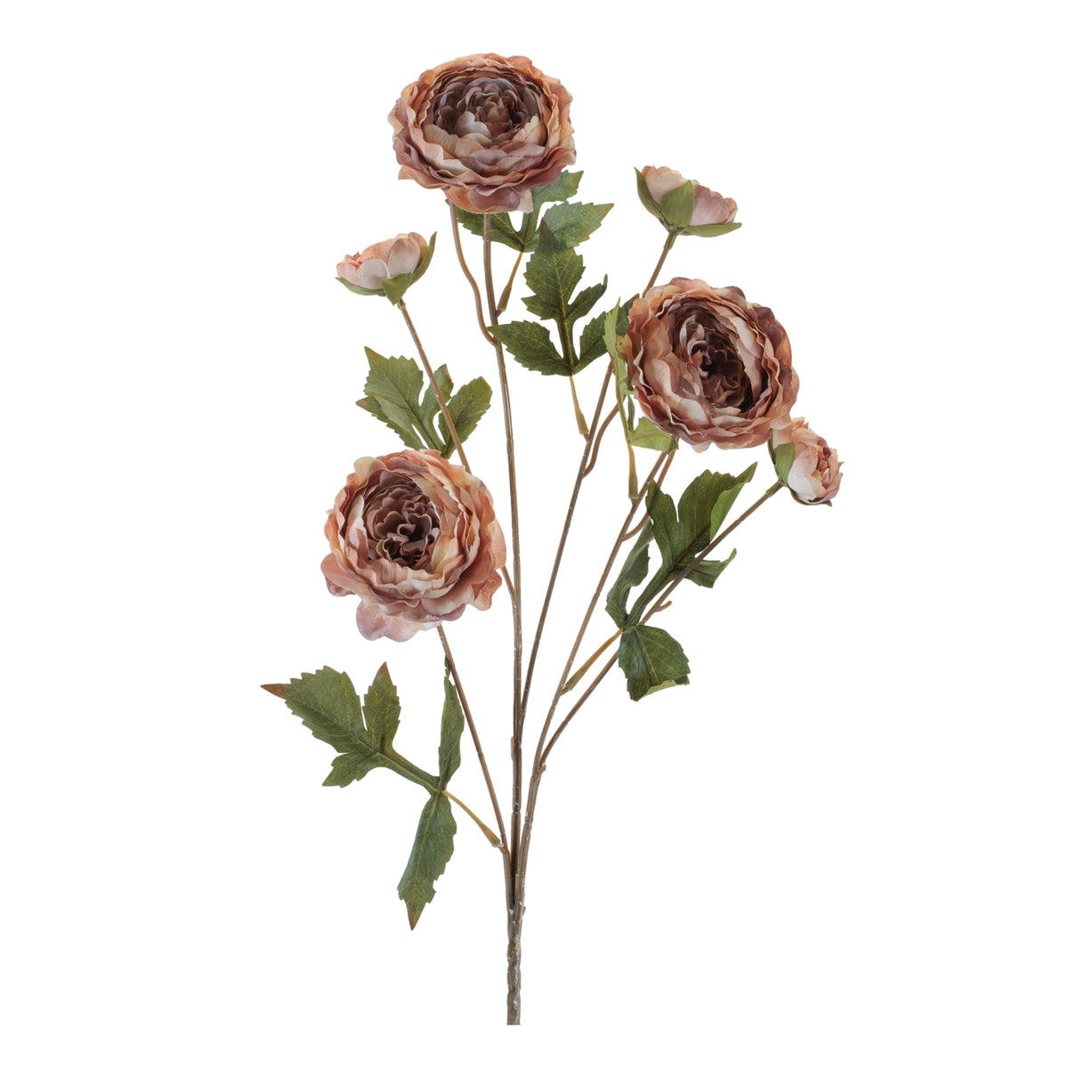Rose Spray