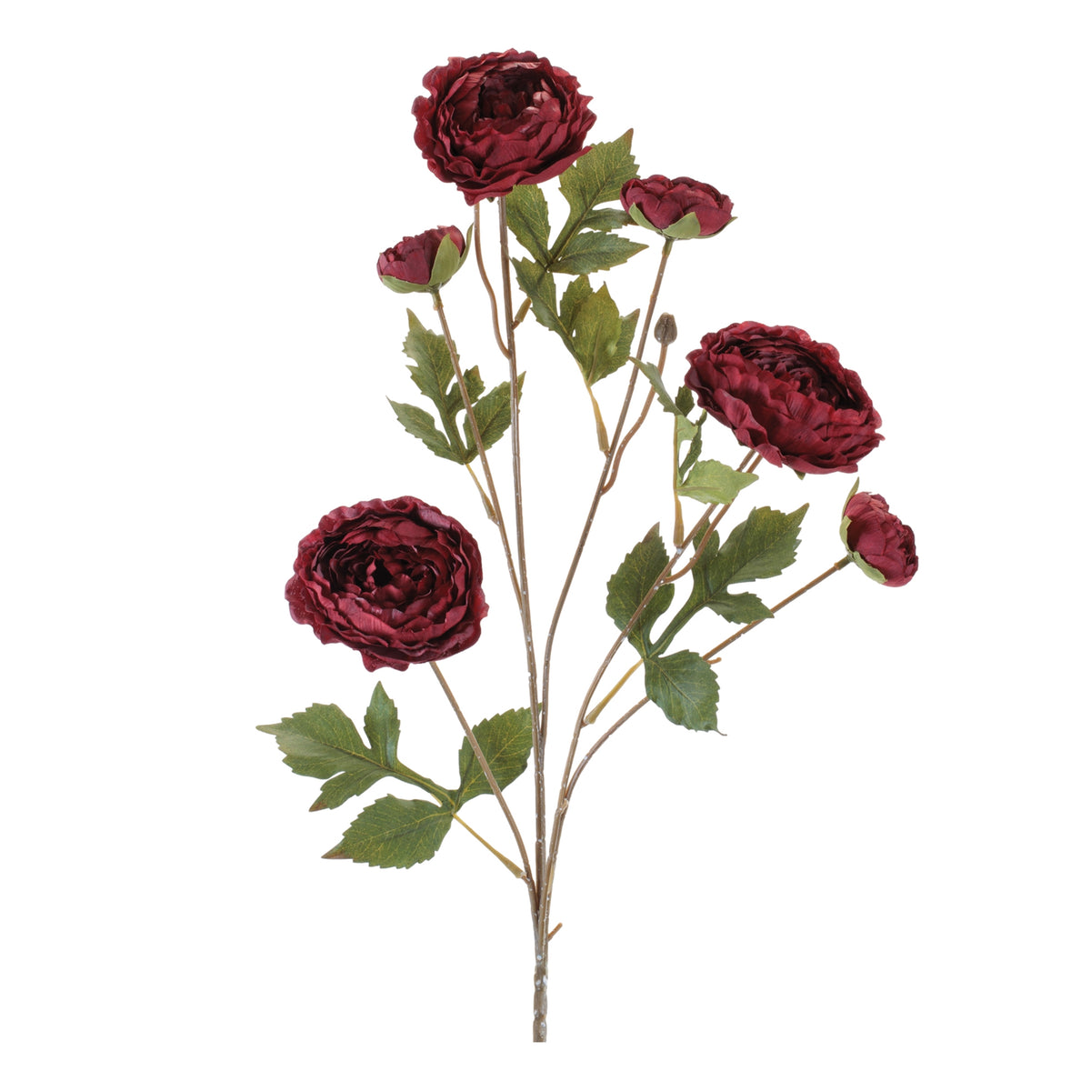 Rose Spray