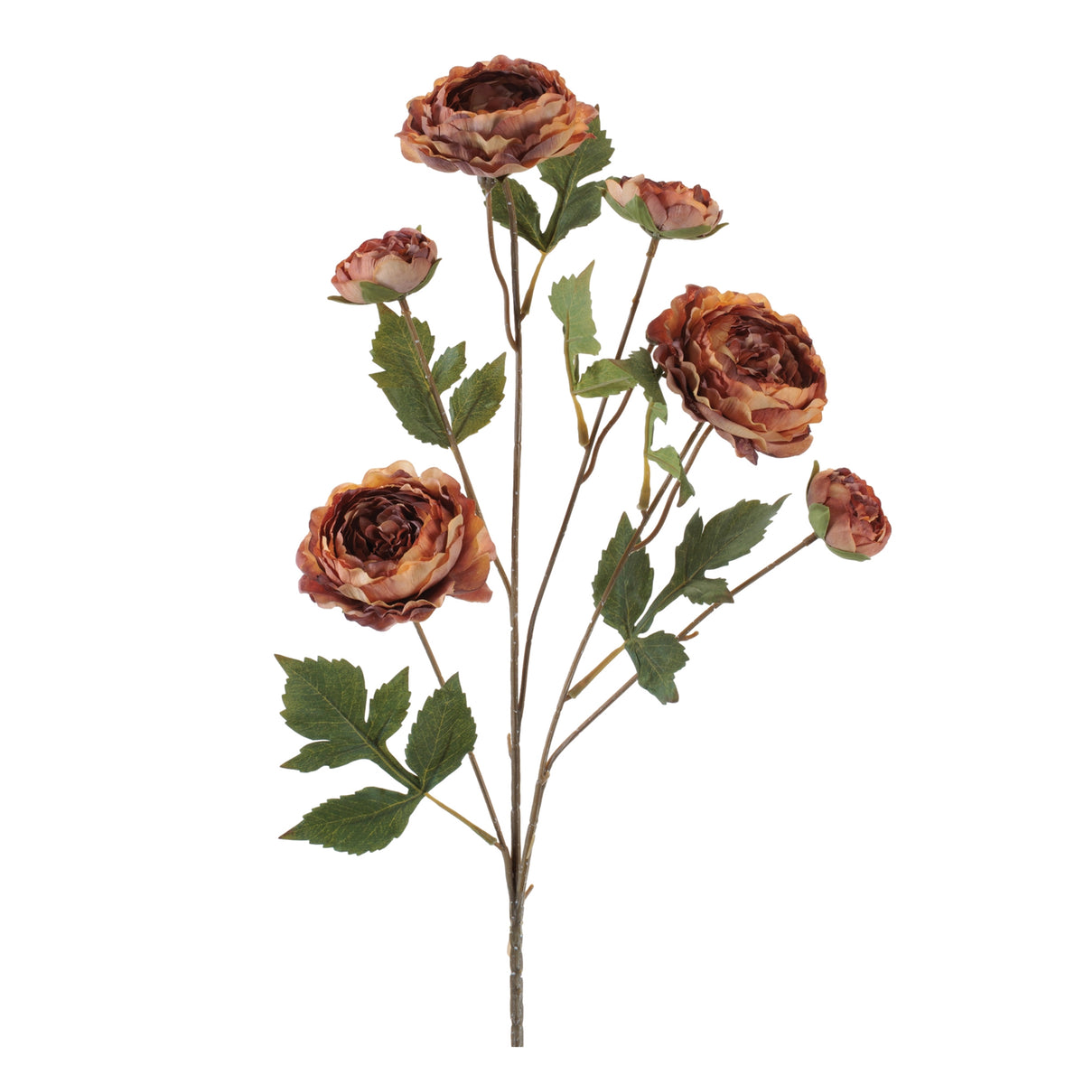 Rose Spray