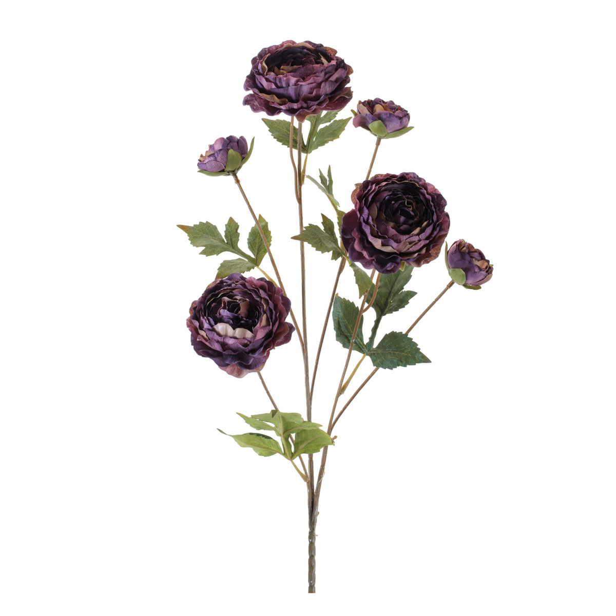 Rose Spray