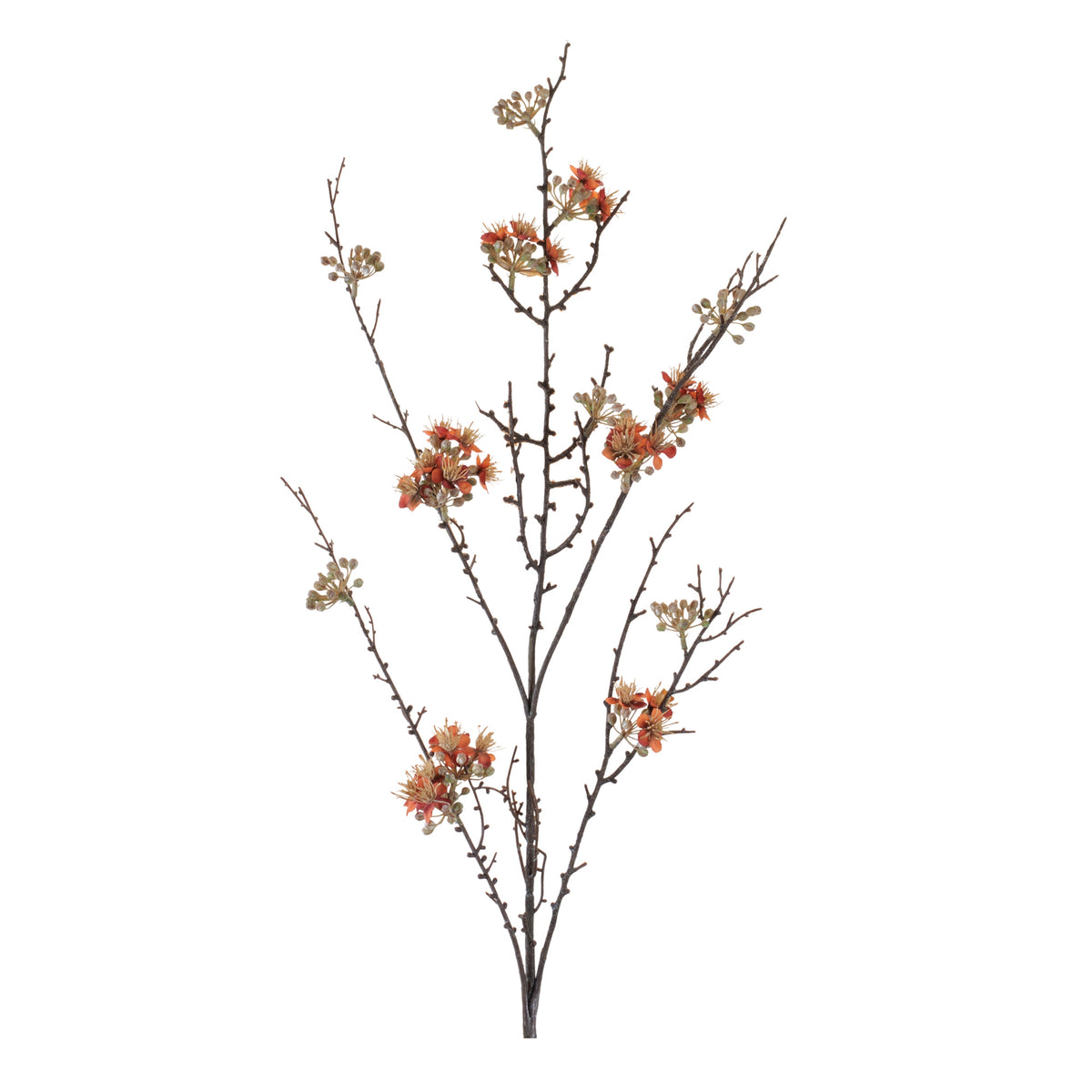 Blossom Branch