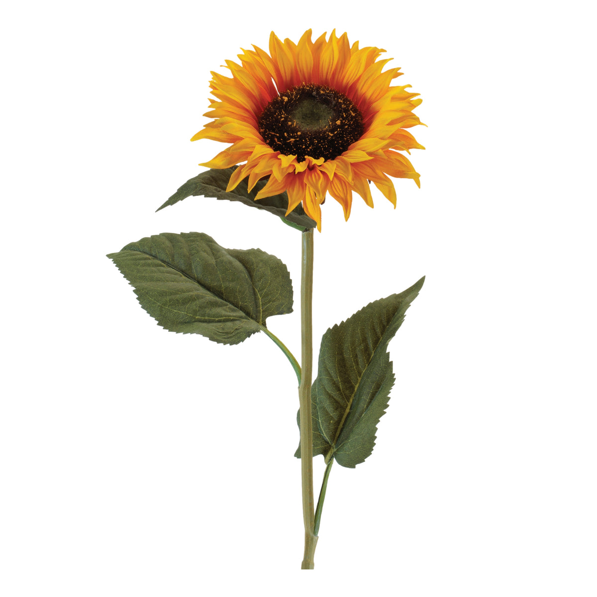 Sunflower Stem