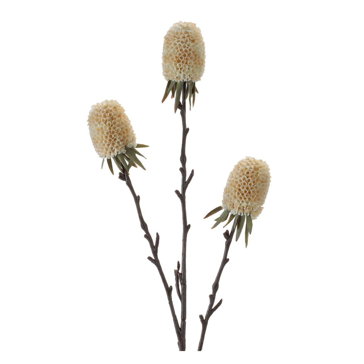 Protea Spray