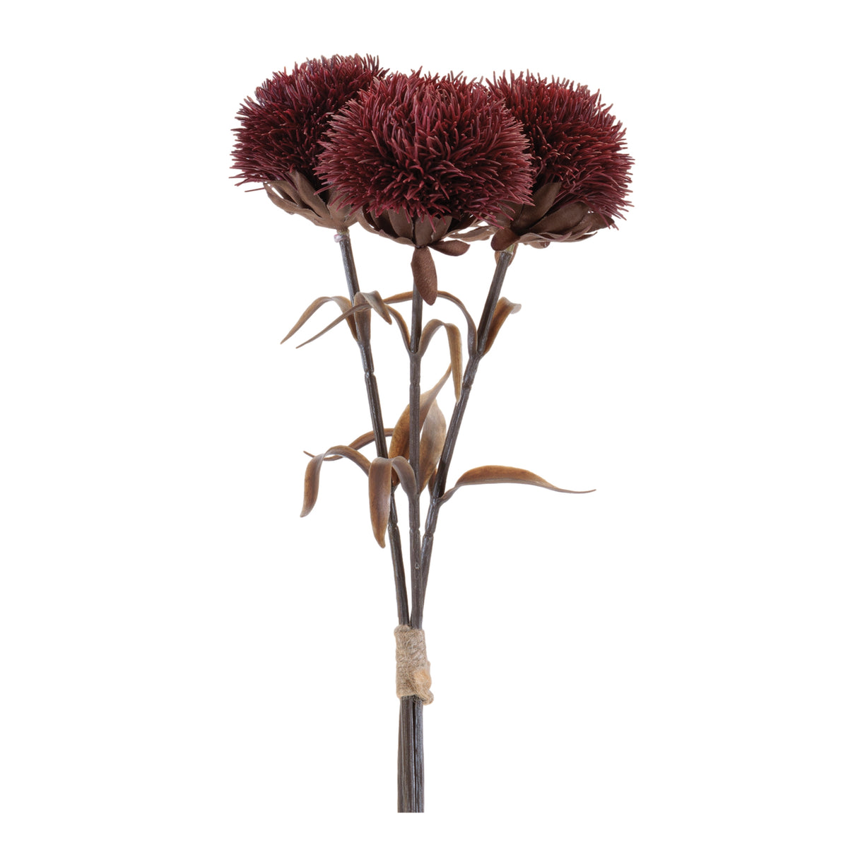 Thistle Bundle