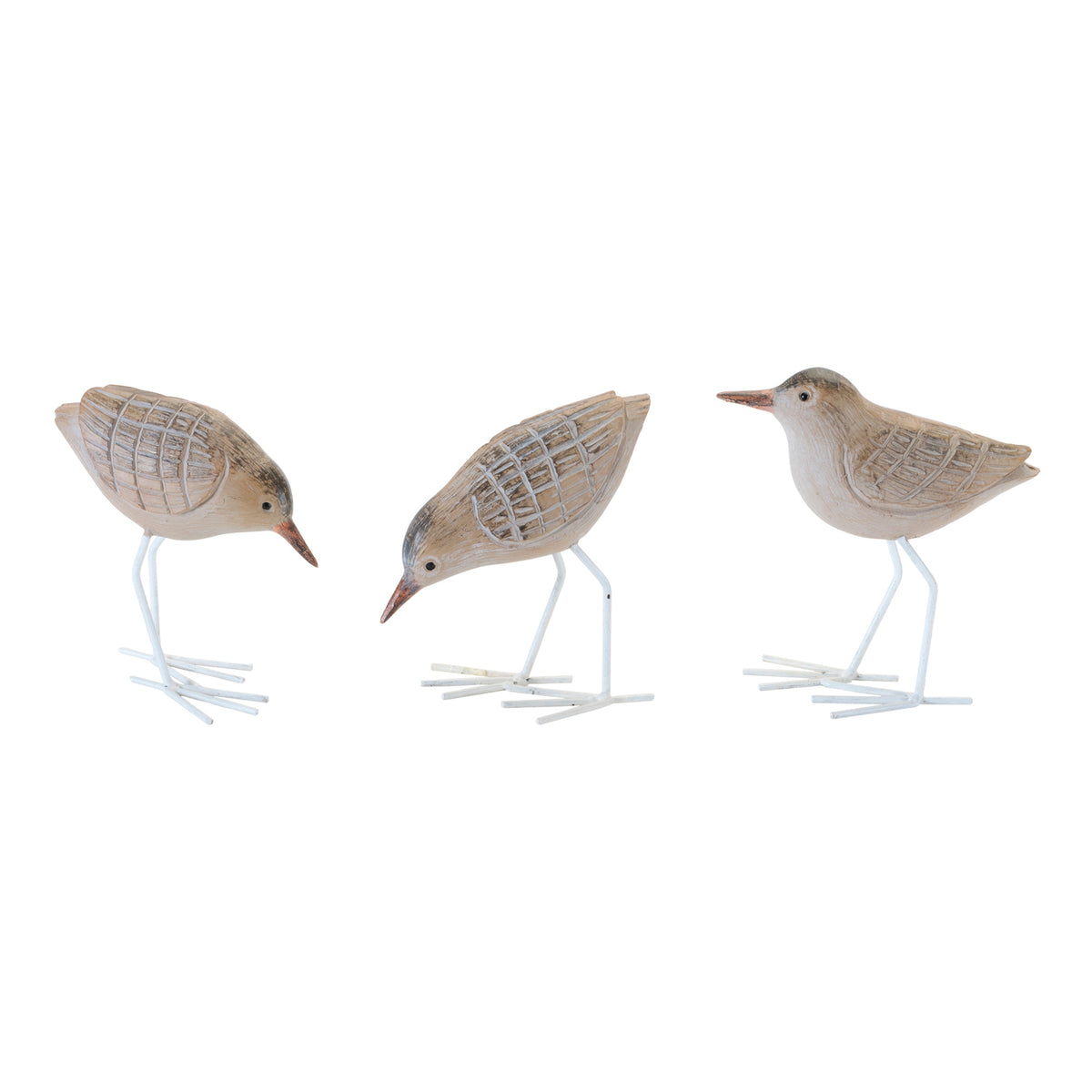 Beach Bird (S/3)