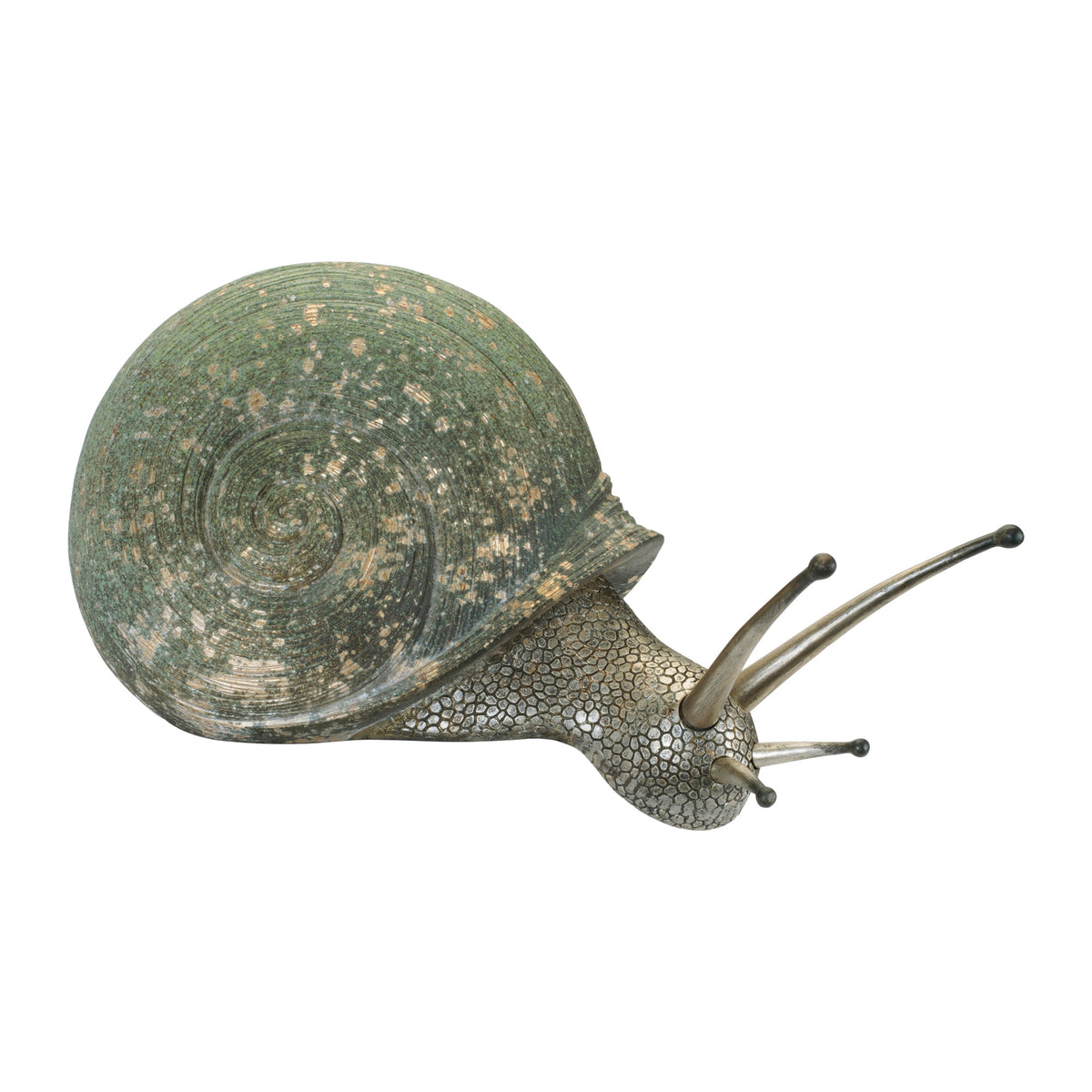 Snail