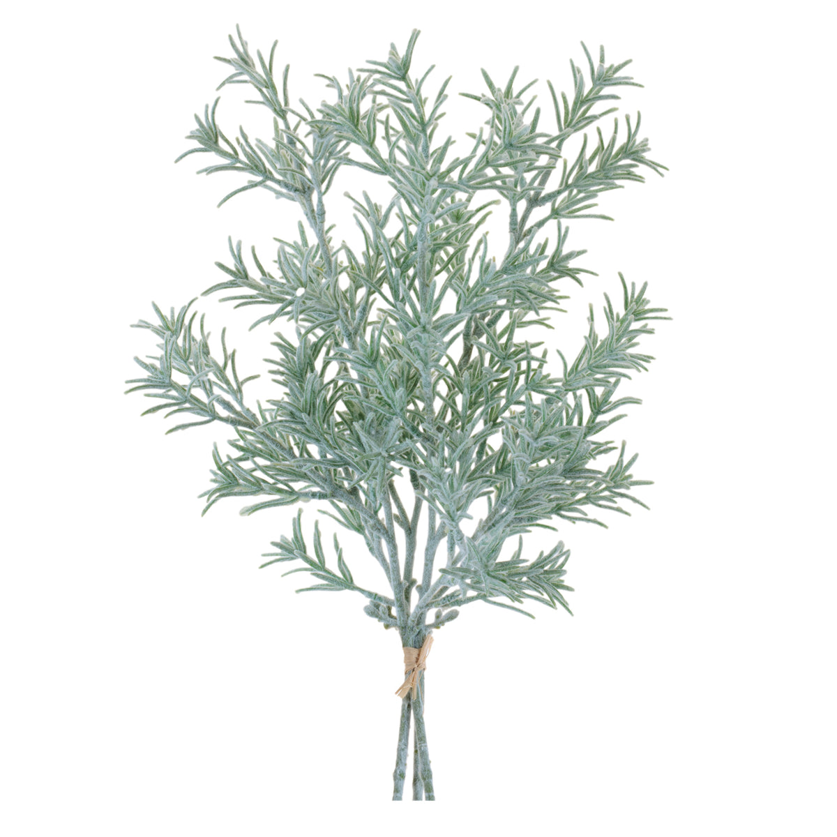 Rosemary Bundle