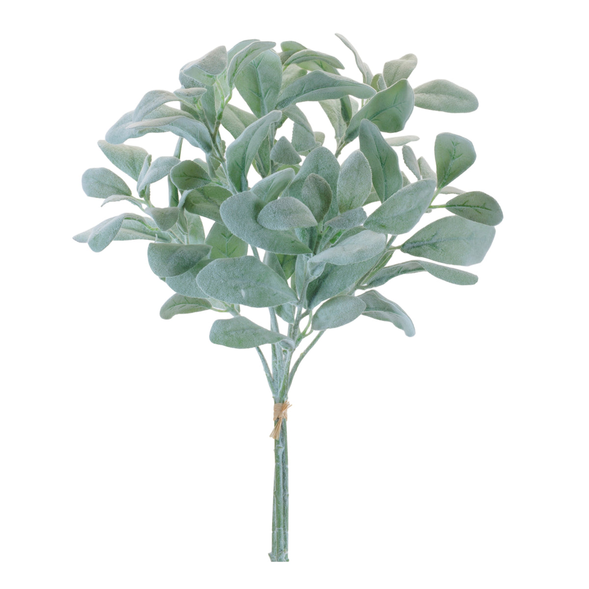 Sage Bundle