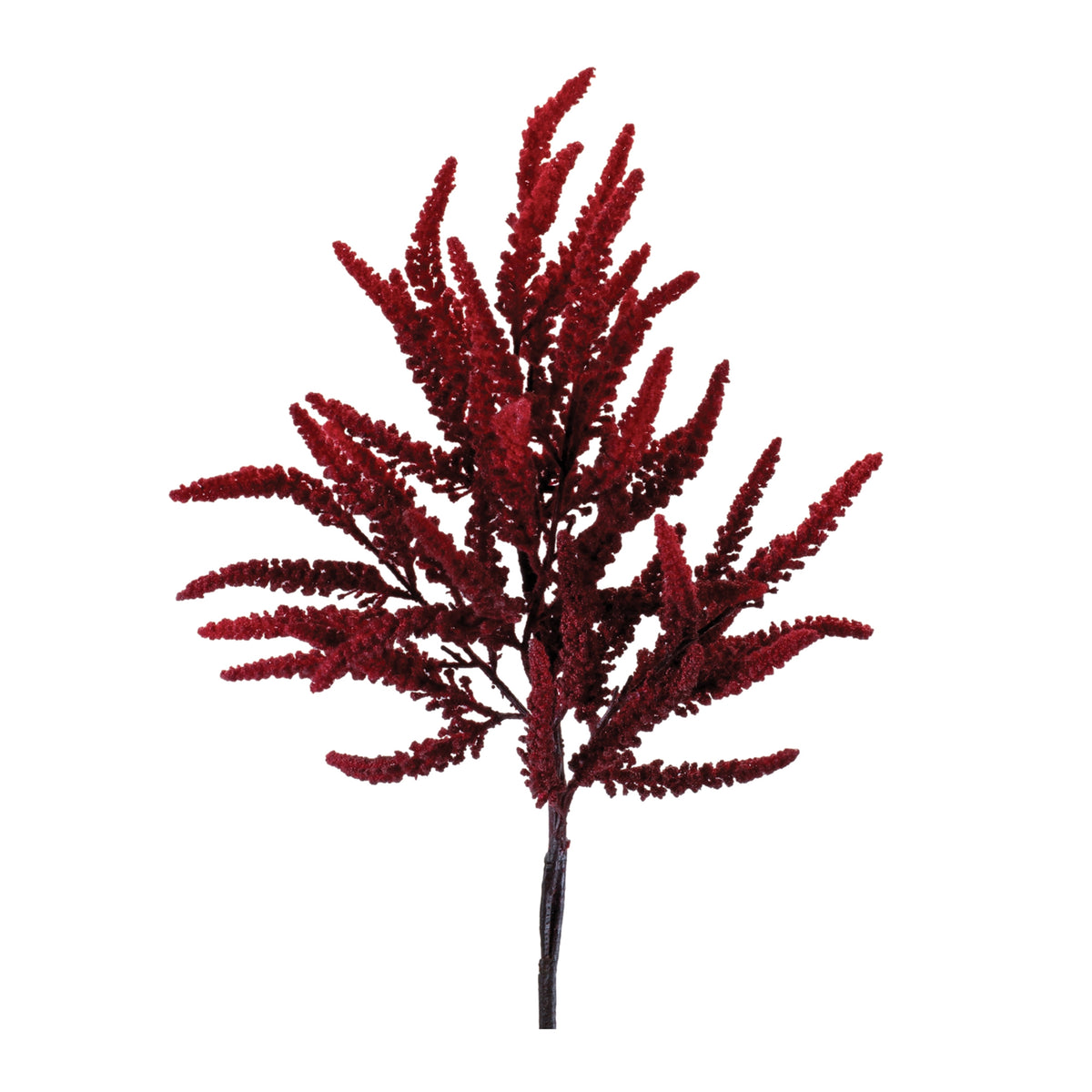 Amaranthus Spray