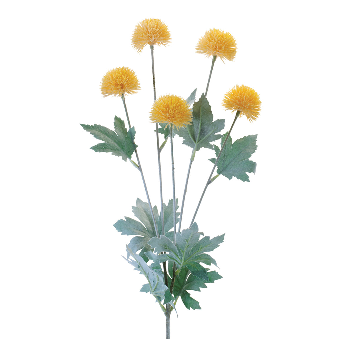 Thistle Spray