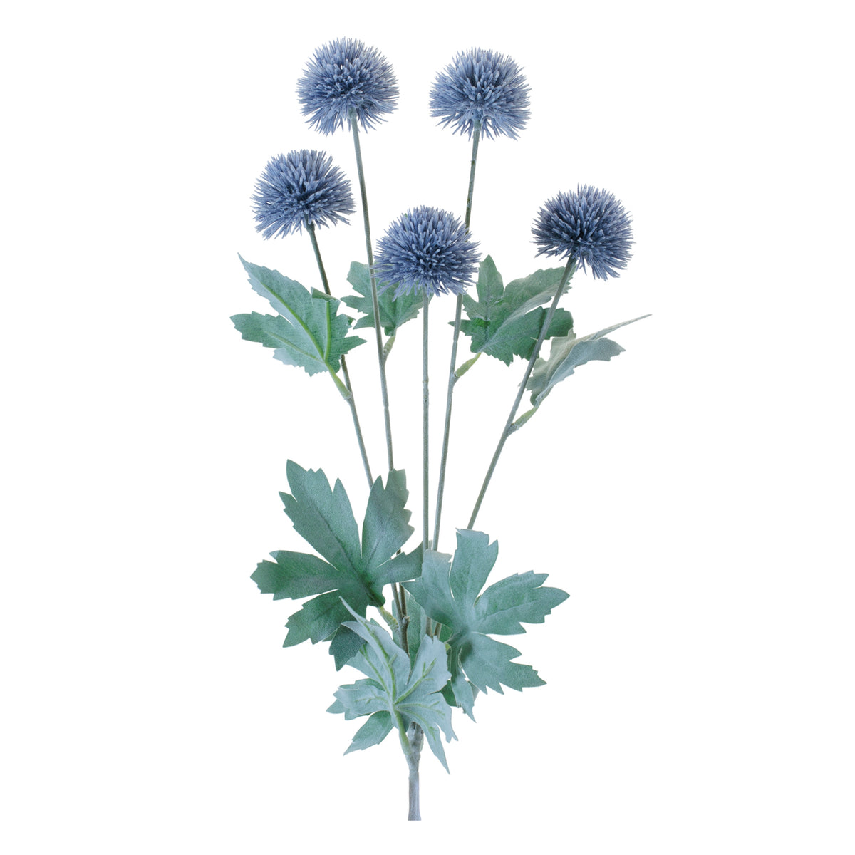 Thistle Spray
