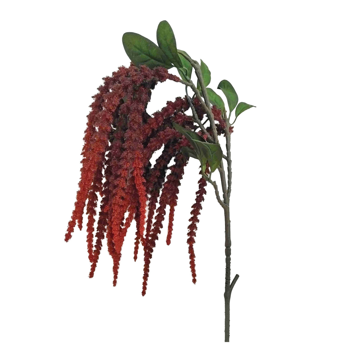 Amaranthus Spray