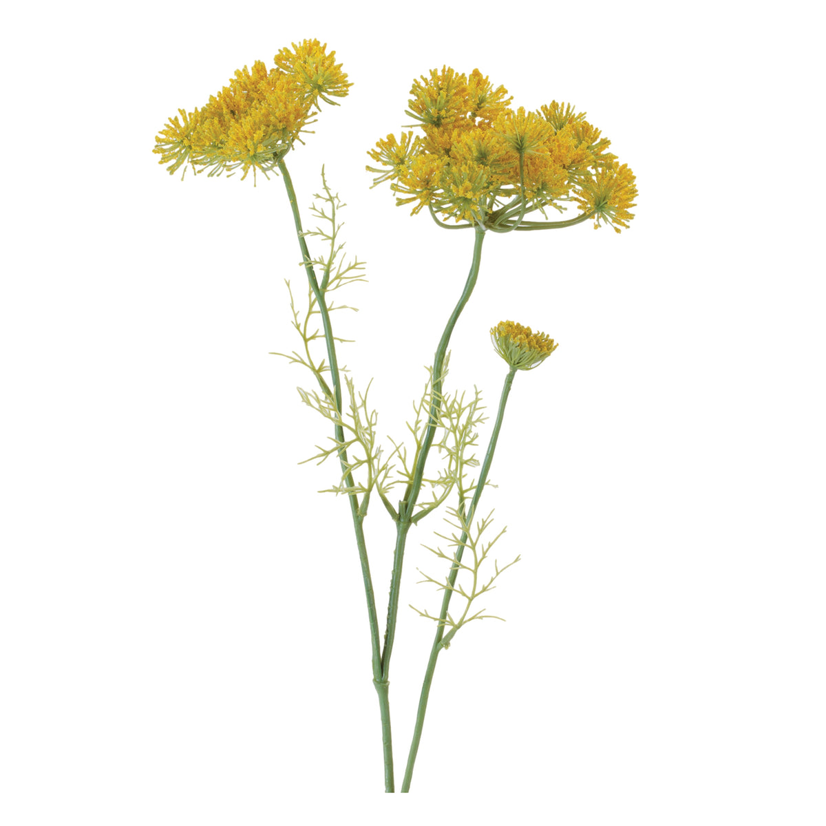 Queen Anne's Lace Spray