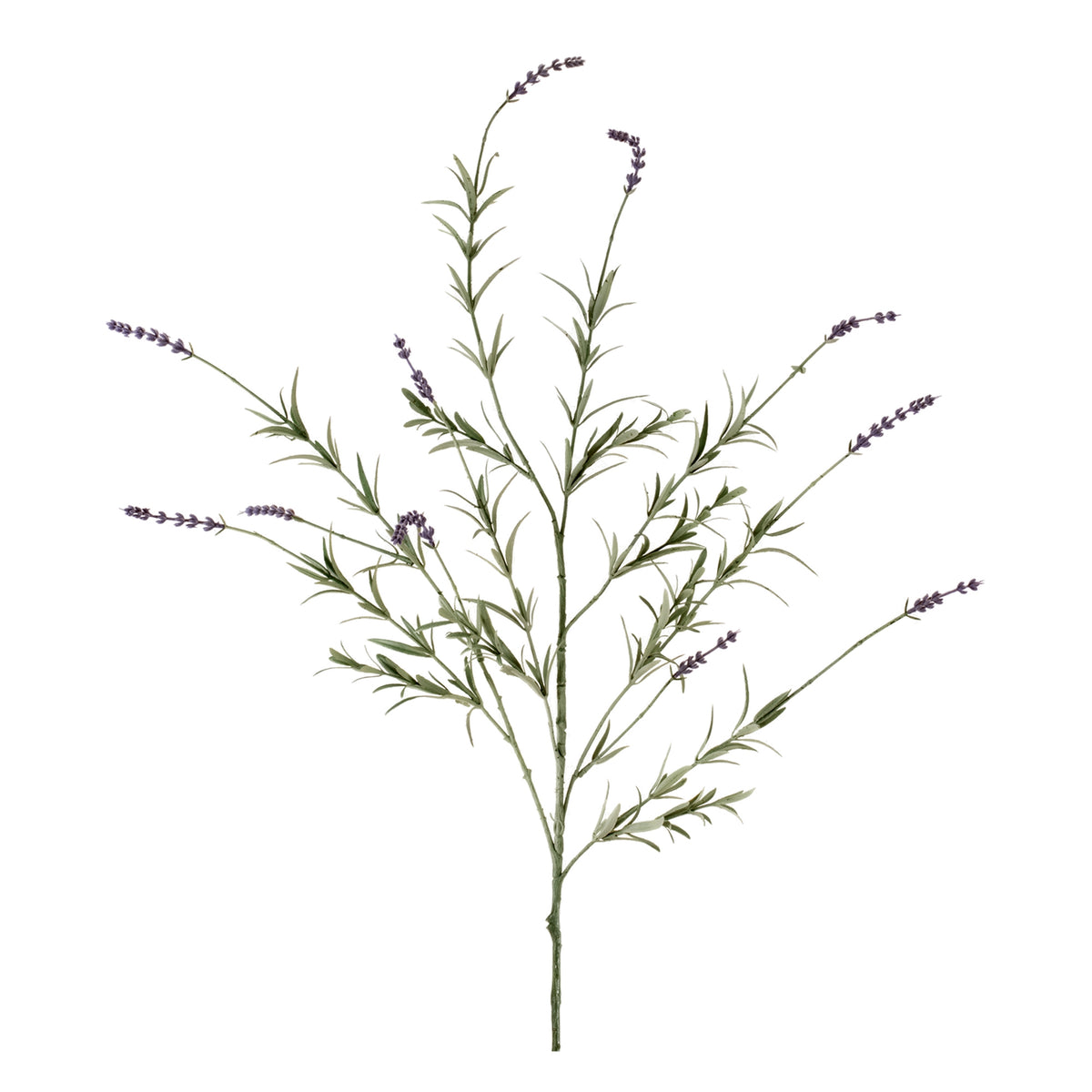 Lavender Spray