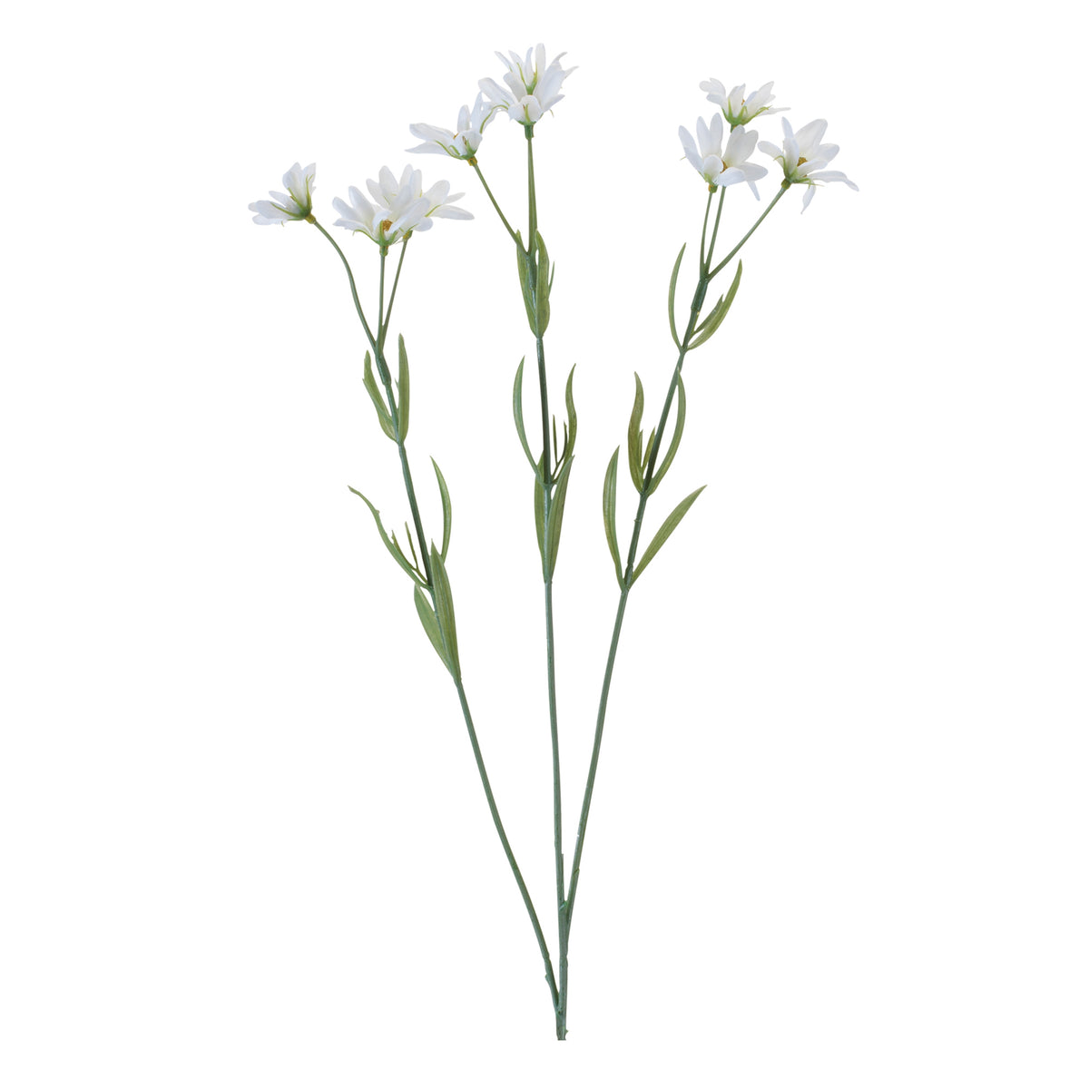 Daisy Spray